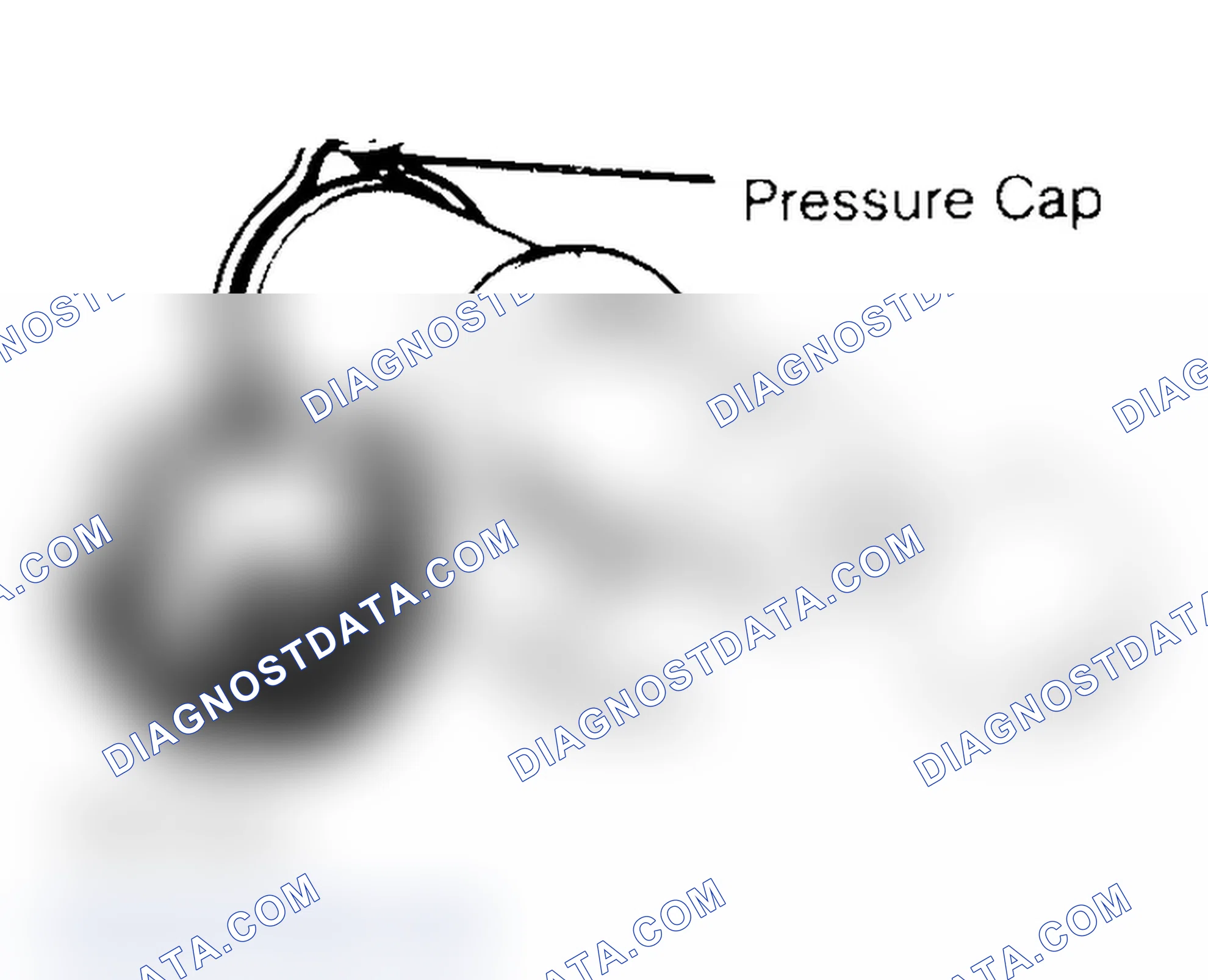Scheme 2: Pressure Testing Radiator Cap