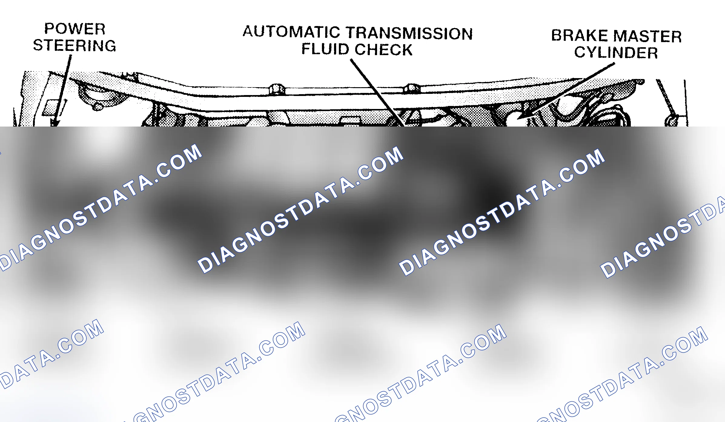Scheme 5