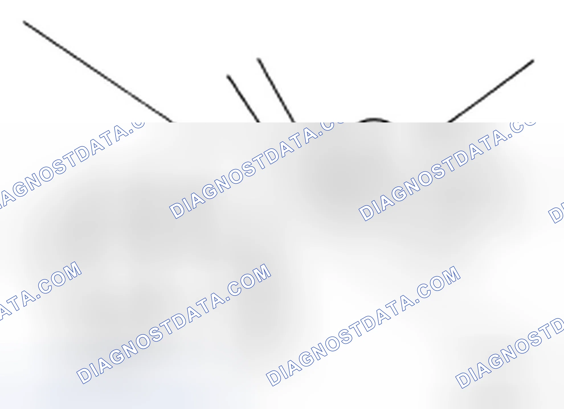 Scheme 46: Changing Brake Fluid