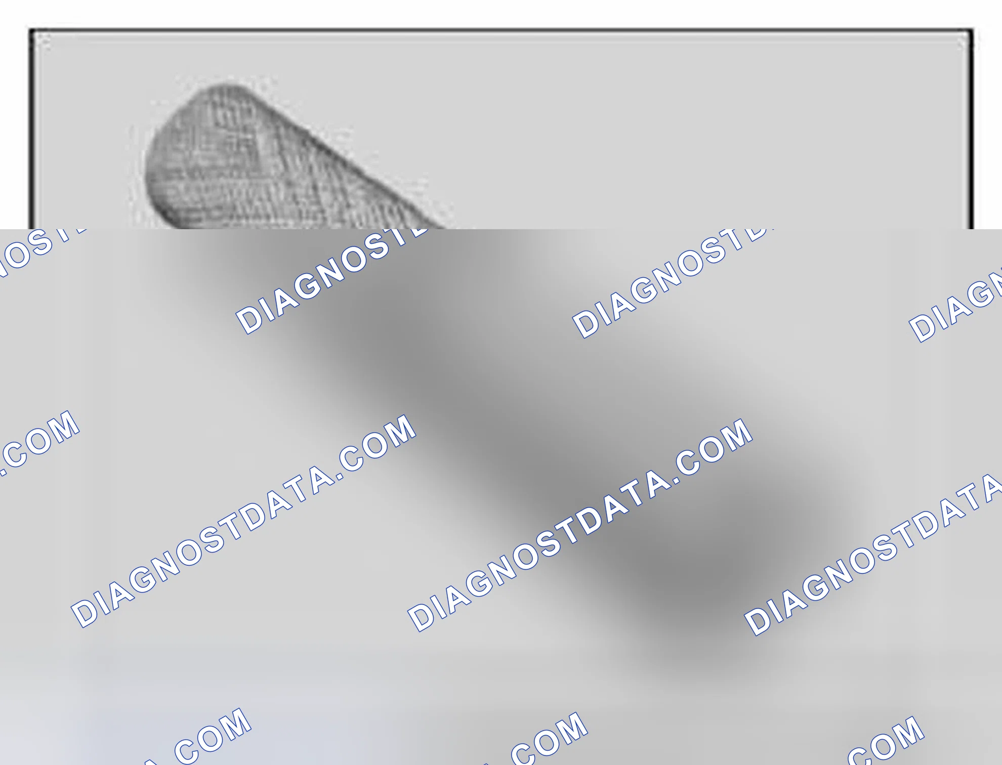 Scheme 442: 11 9 360 Drift
