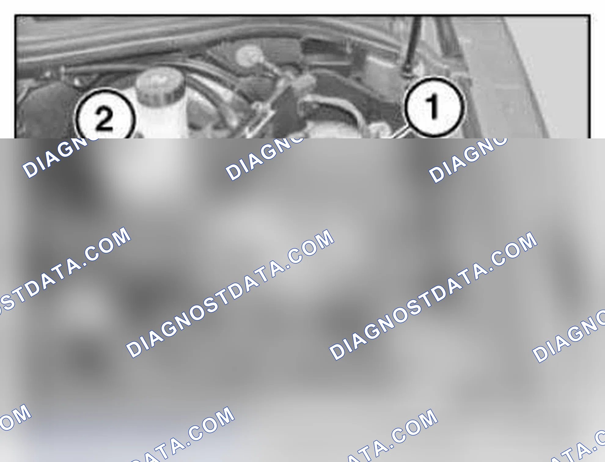 Scheme 162
