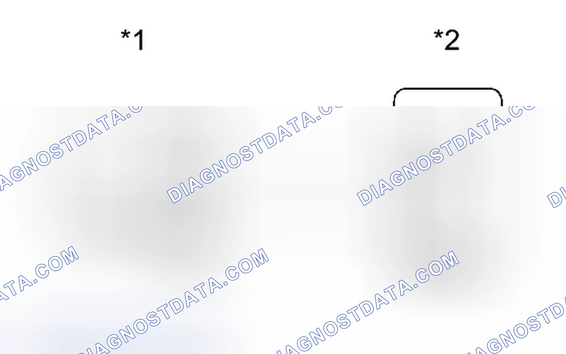 Scheme 339