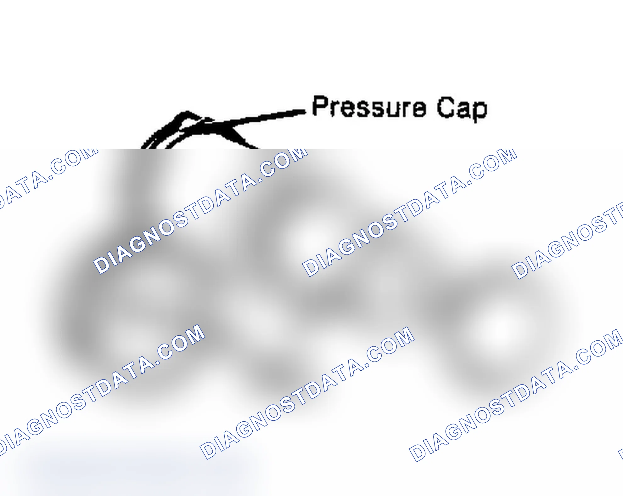 Scheme 2: Testing Radiator Pressure Cap Wet cap gasket before testing.