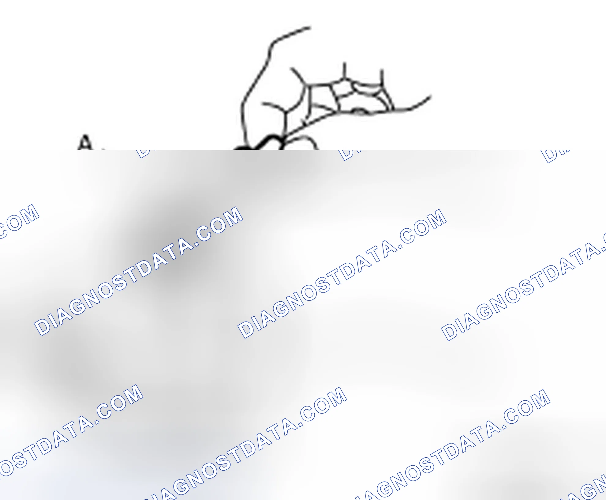 Scheme 8