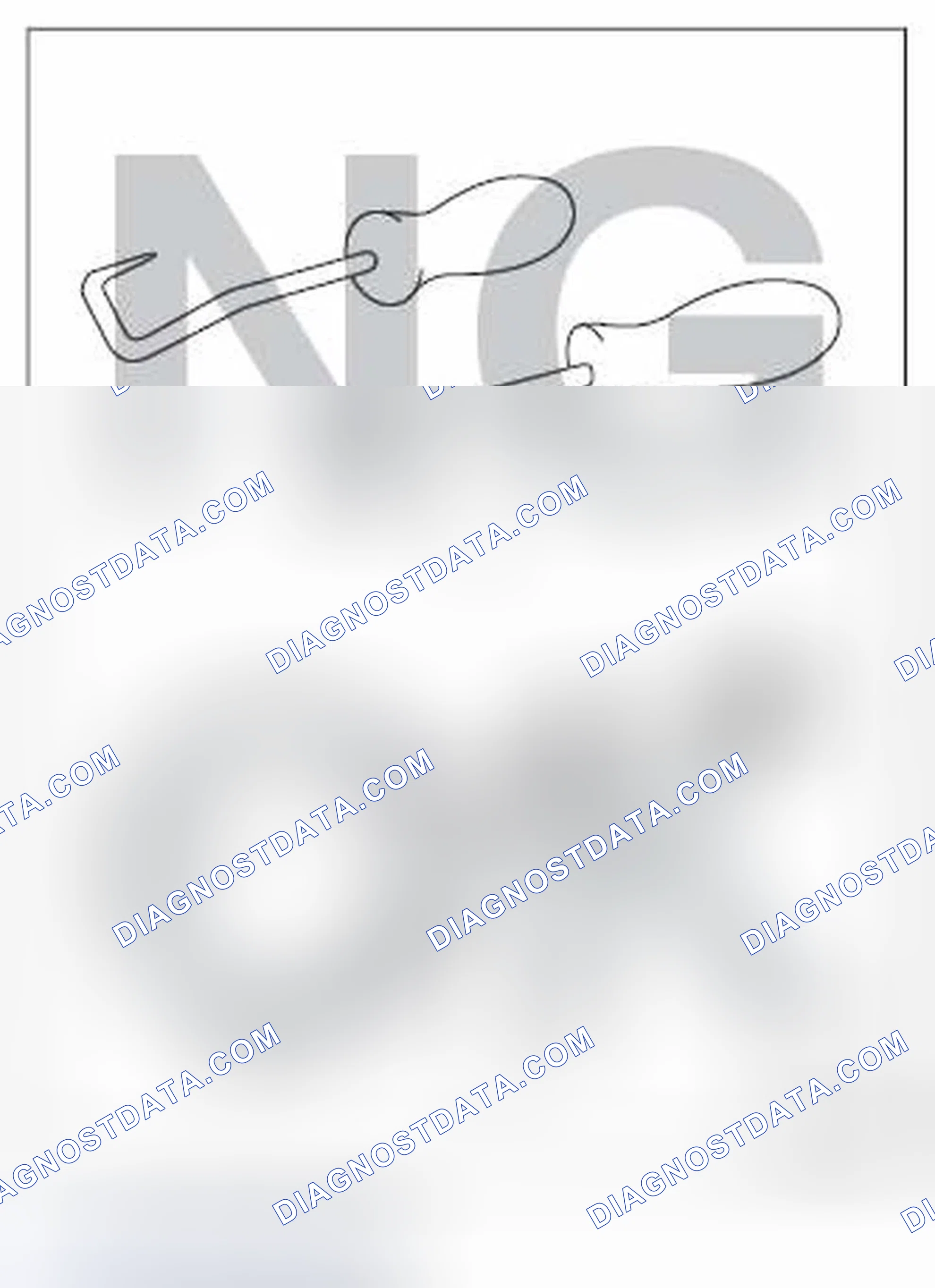 Scheme 1: Removal and installation operation of hoses, etc. during the inspection