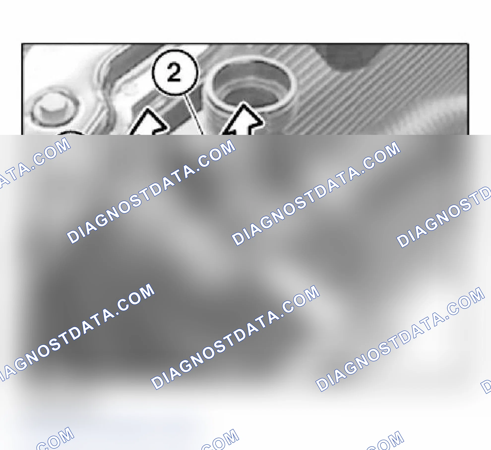 Scheme 1: Disassembly Of Fast-Release Coupling
