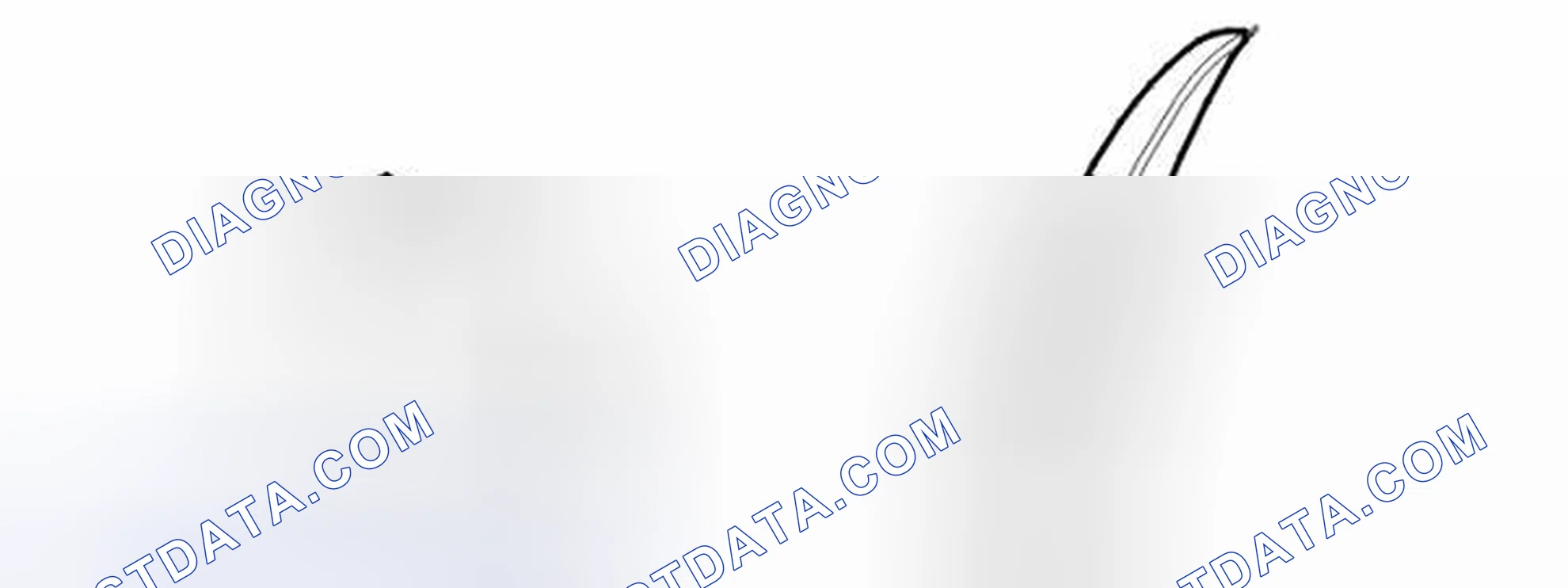 Scheme 555: Rear fog lamp