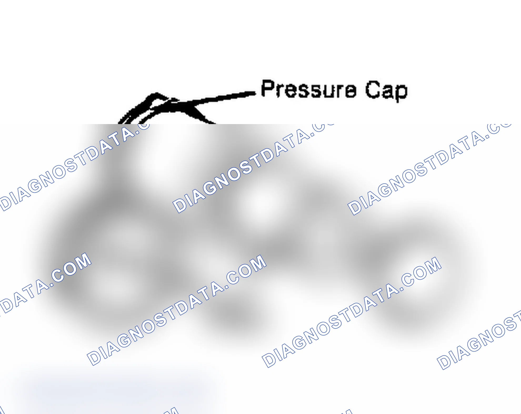 Scheme 2: Testing Radiator Pressure Cap Wet cap gasket before testing.
