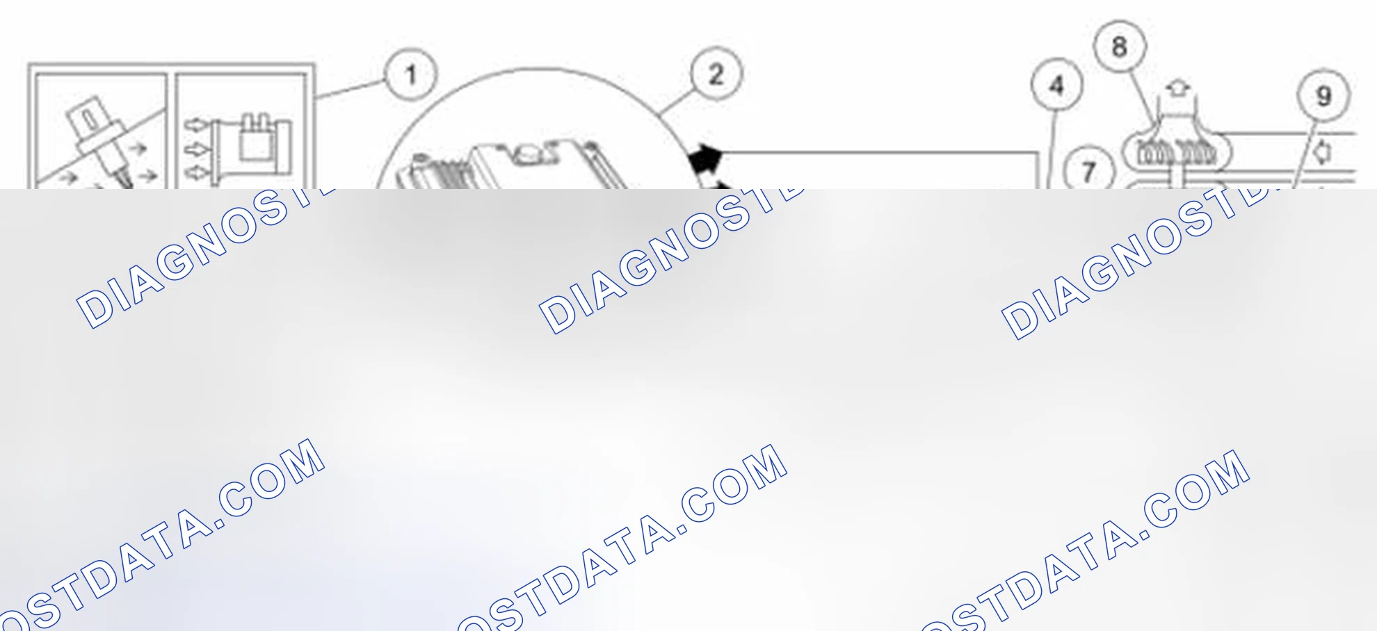 Scheme 79: Enhanced Evaporative Emission (EVAP) System