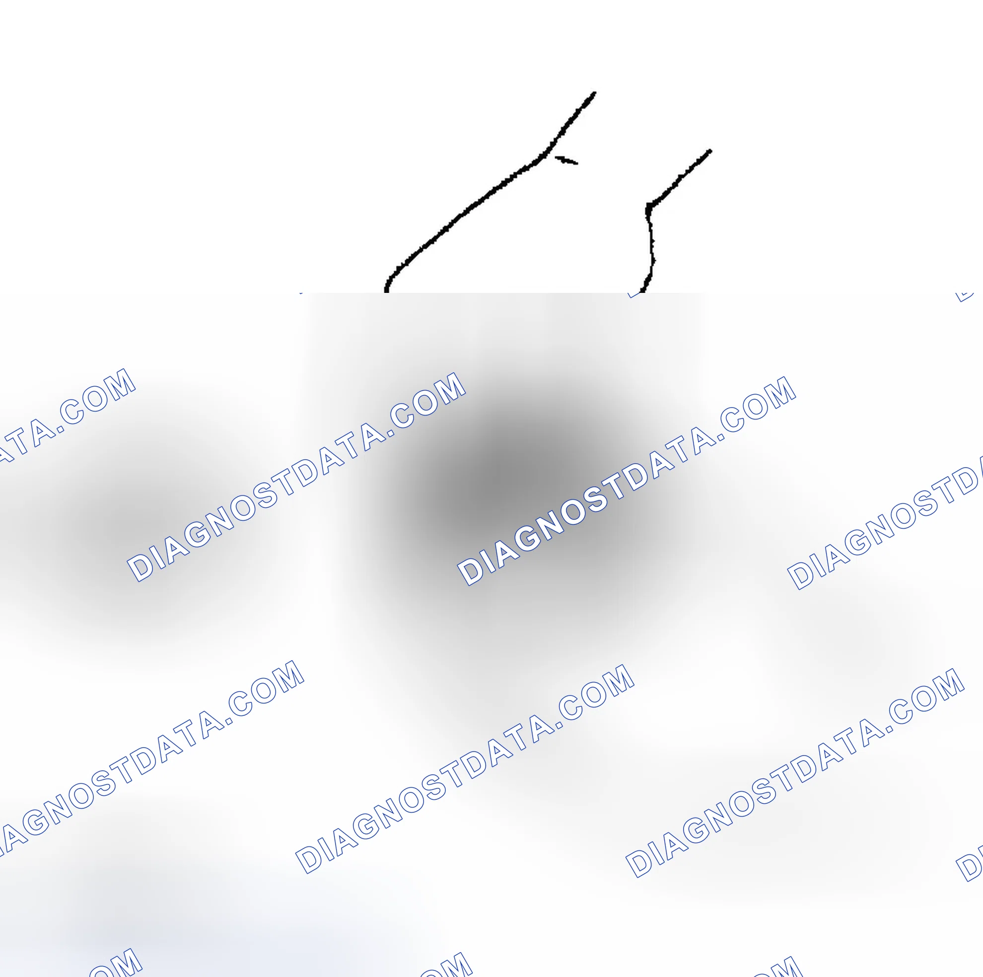 Scheme 19: Inspection During Removal, Disassembly
