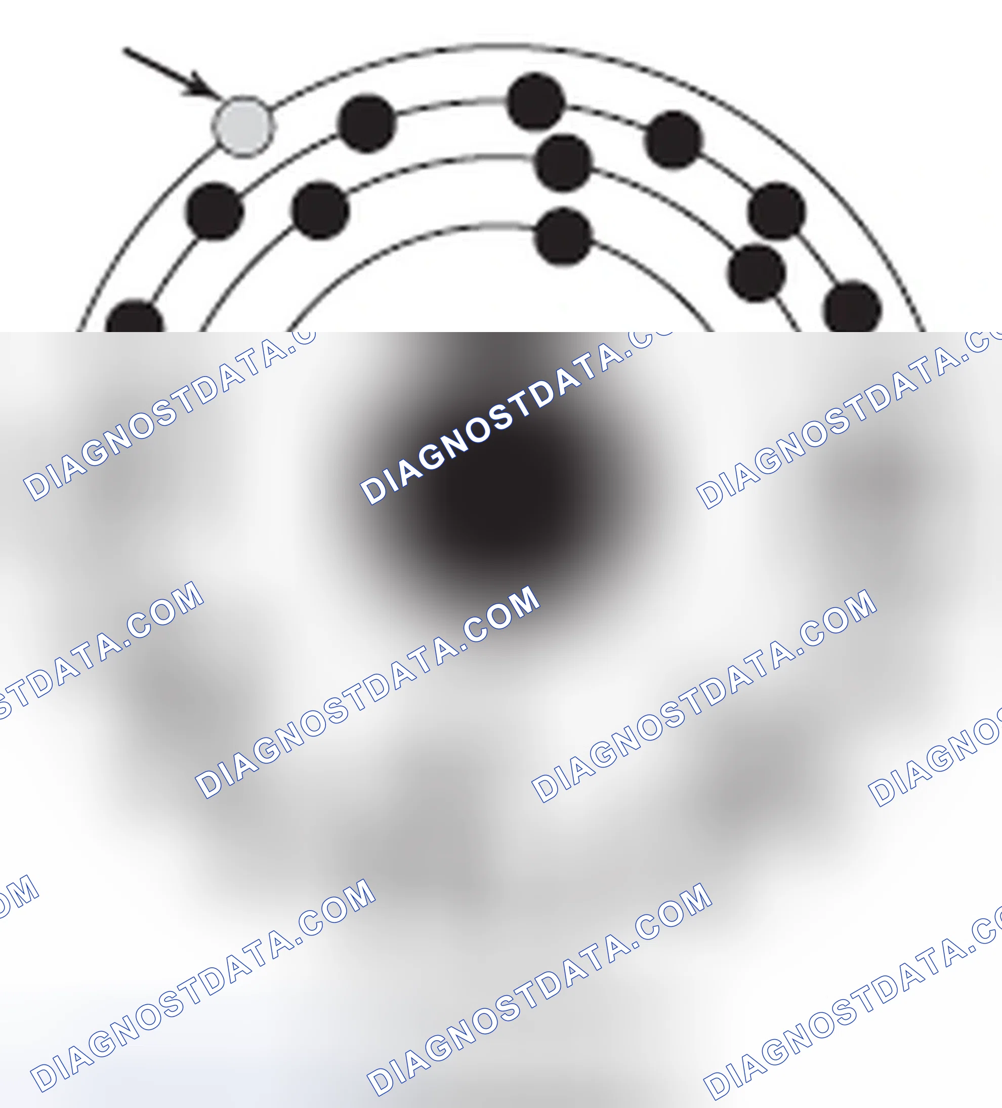 Scheme 232: Conductors