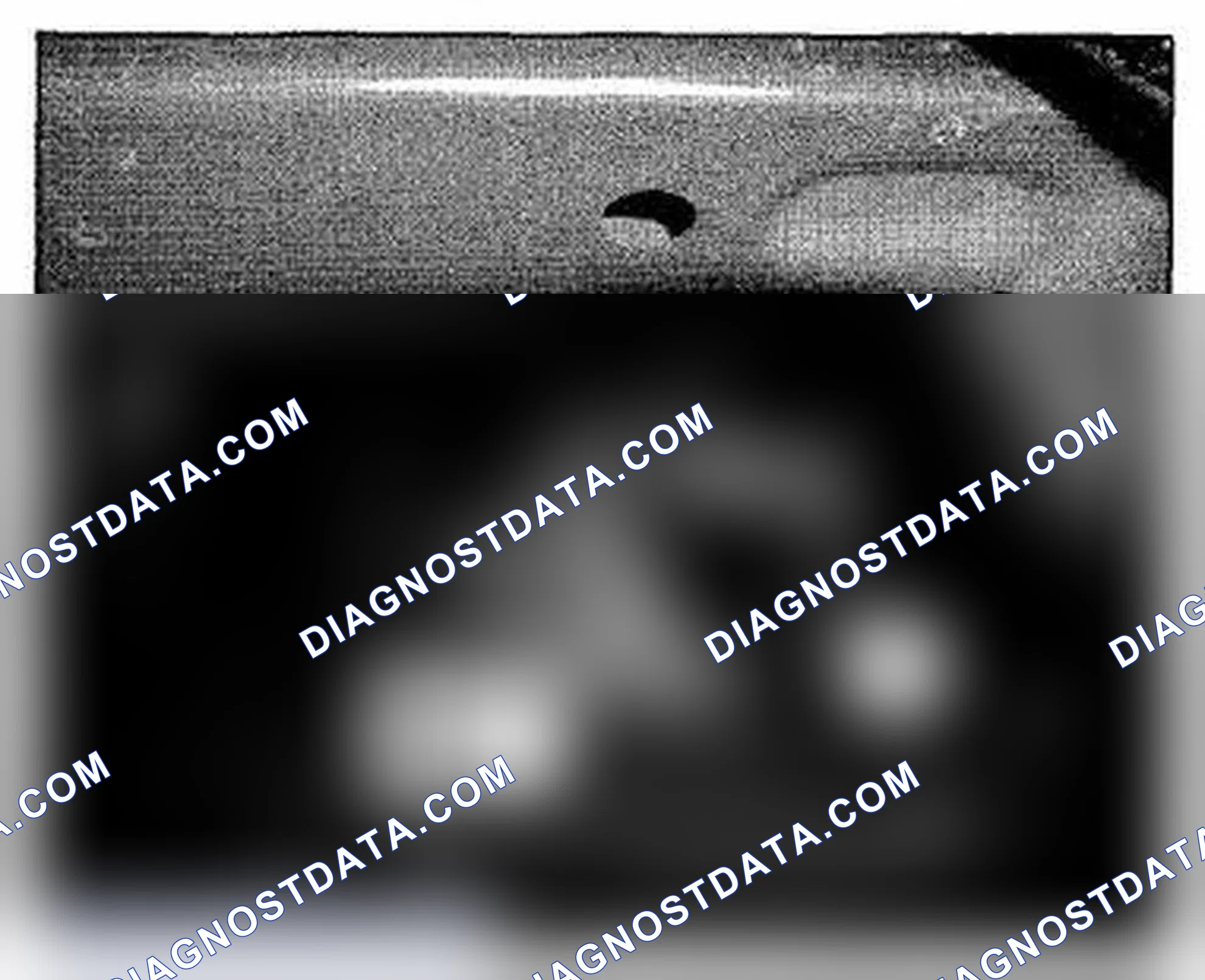 Scheme 414: Behind Right Side Of Front Bumper Component Location (Photo 9)
