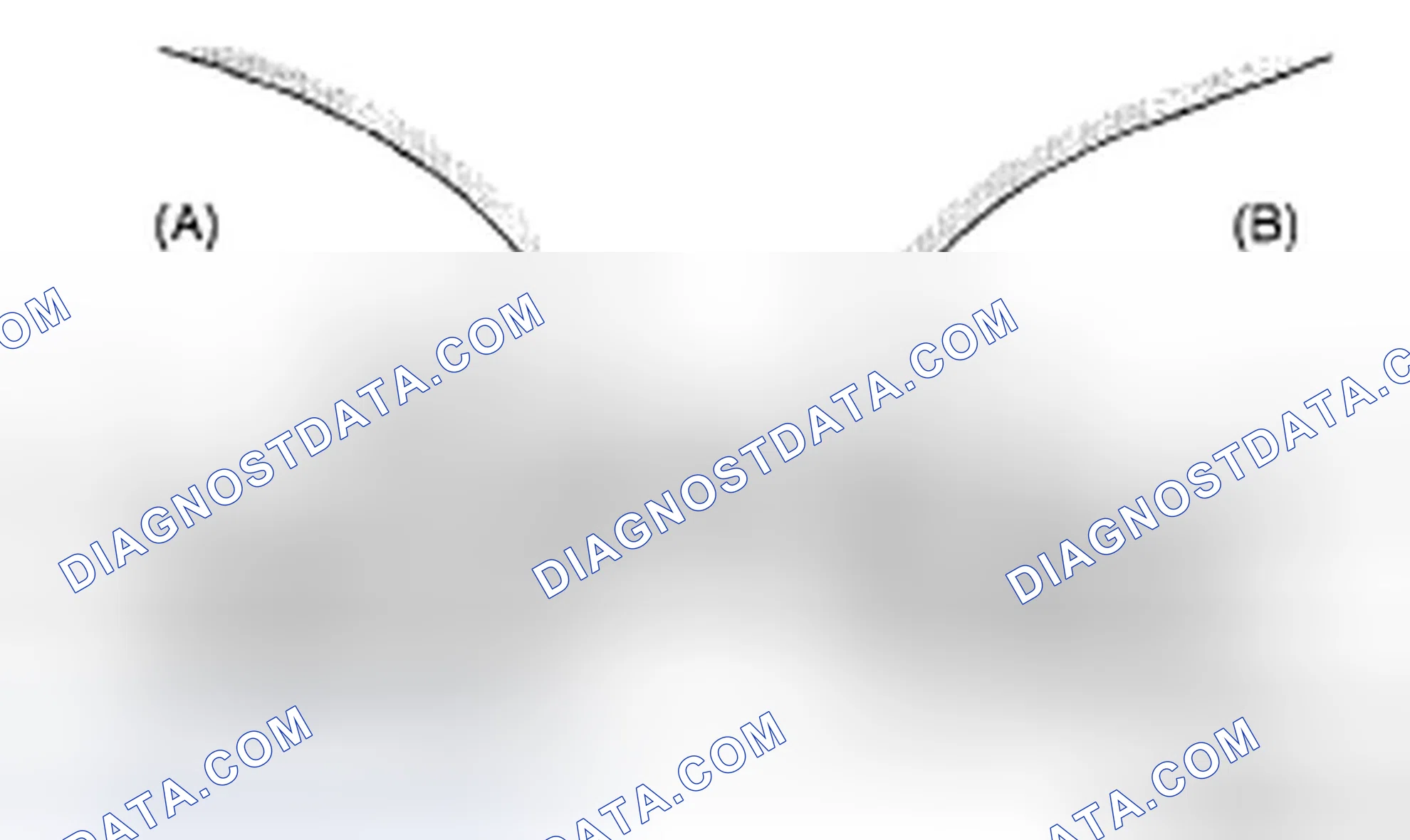 Scheme 198: VALVE SEAT