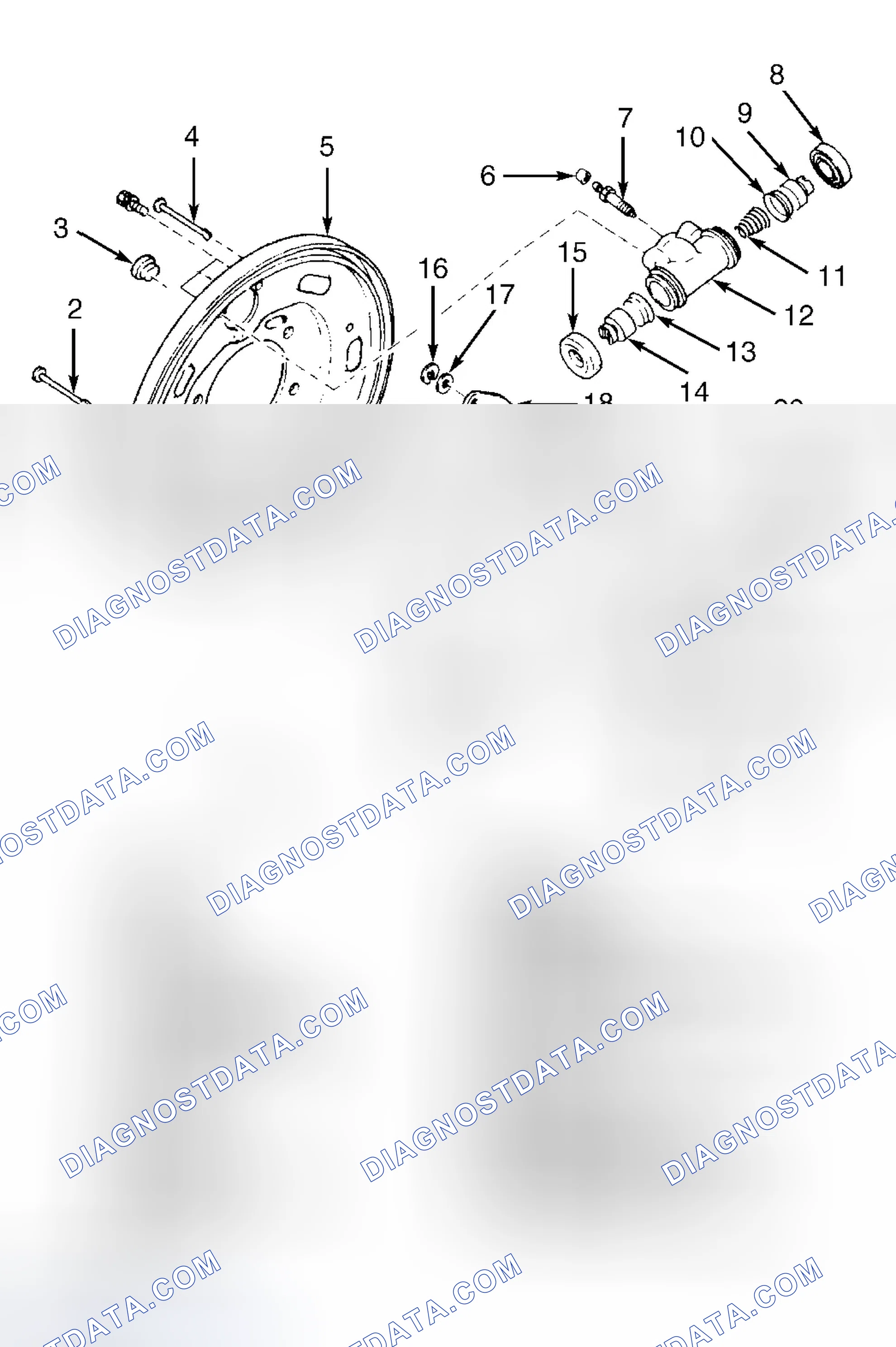 Scheme 54: REAR DRUM BRAKE ASSEMBLY