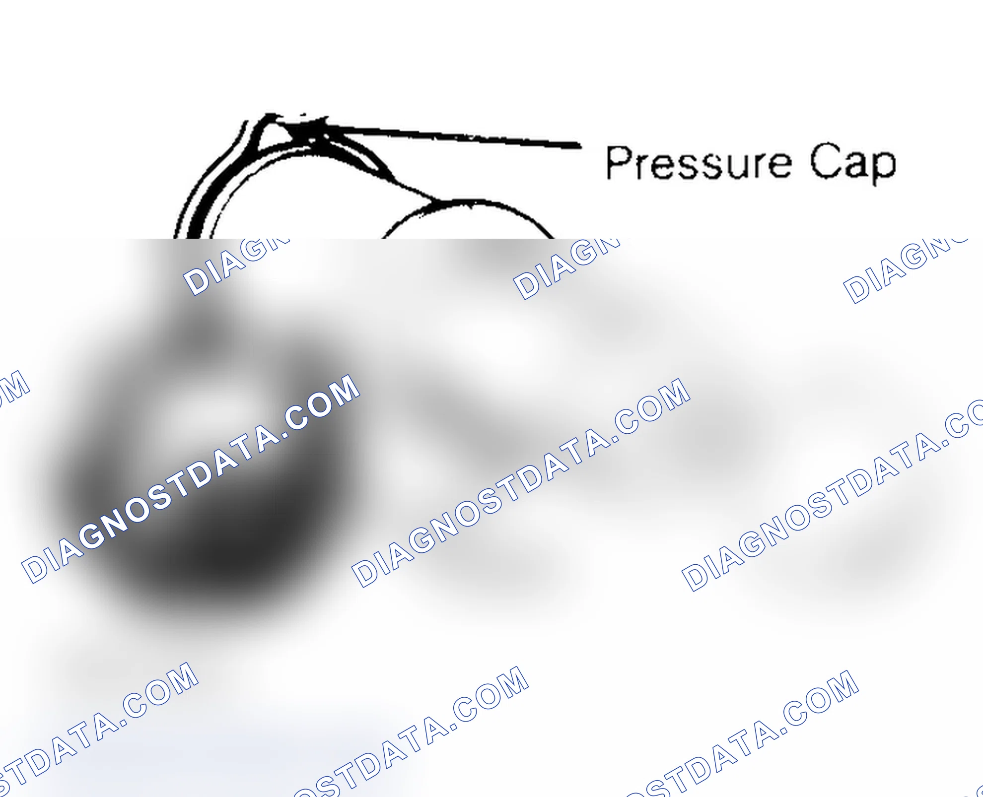 Scheme 2: Pressure Testing Radiator Cap