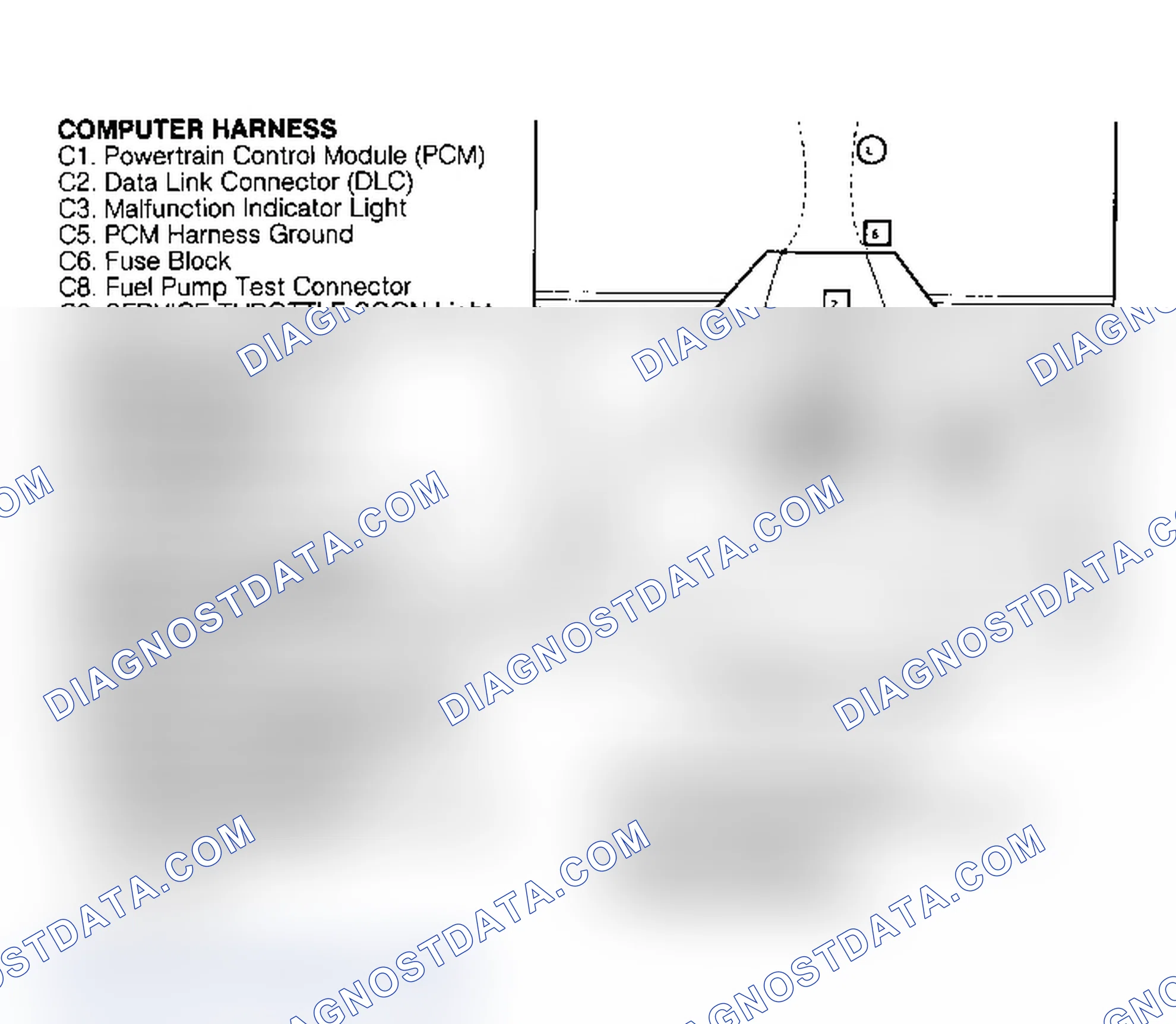 Scheme 384