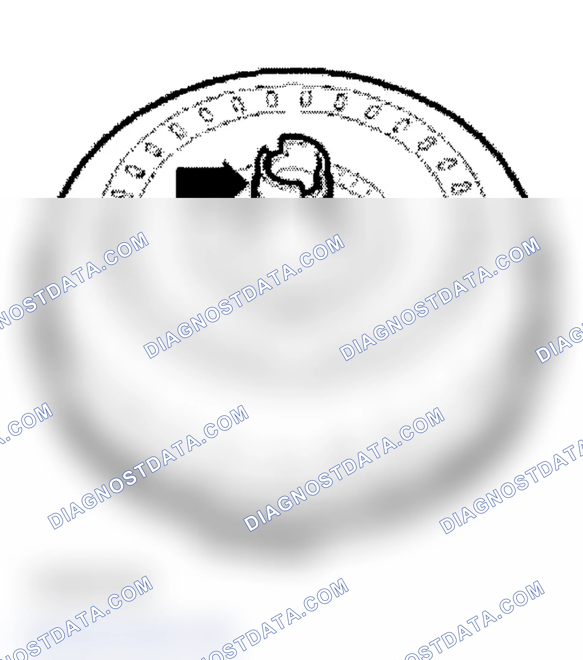 Scheme 134: TORQUE CONVERTER, CHECKING