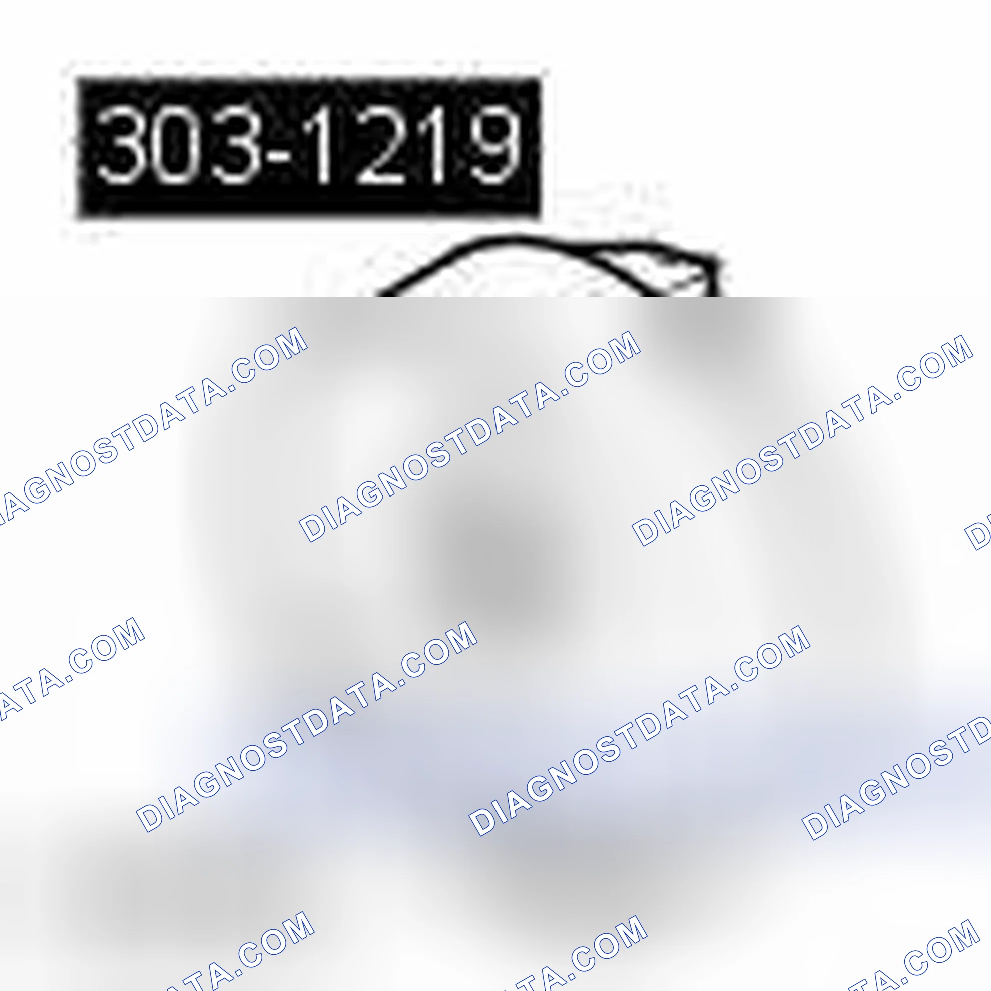 Scheme 207: TIMING CHAIN