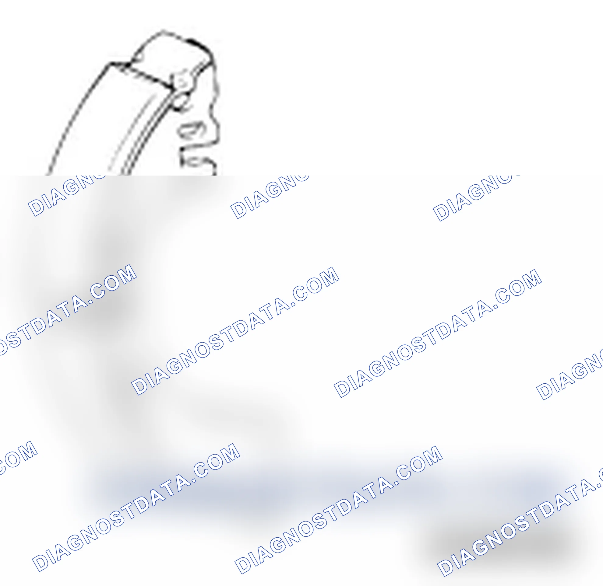 Scheme 24: BRAKE LINING THICKNESS CHECK