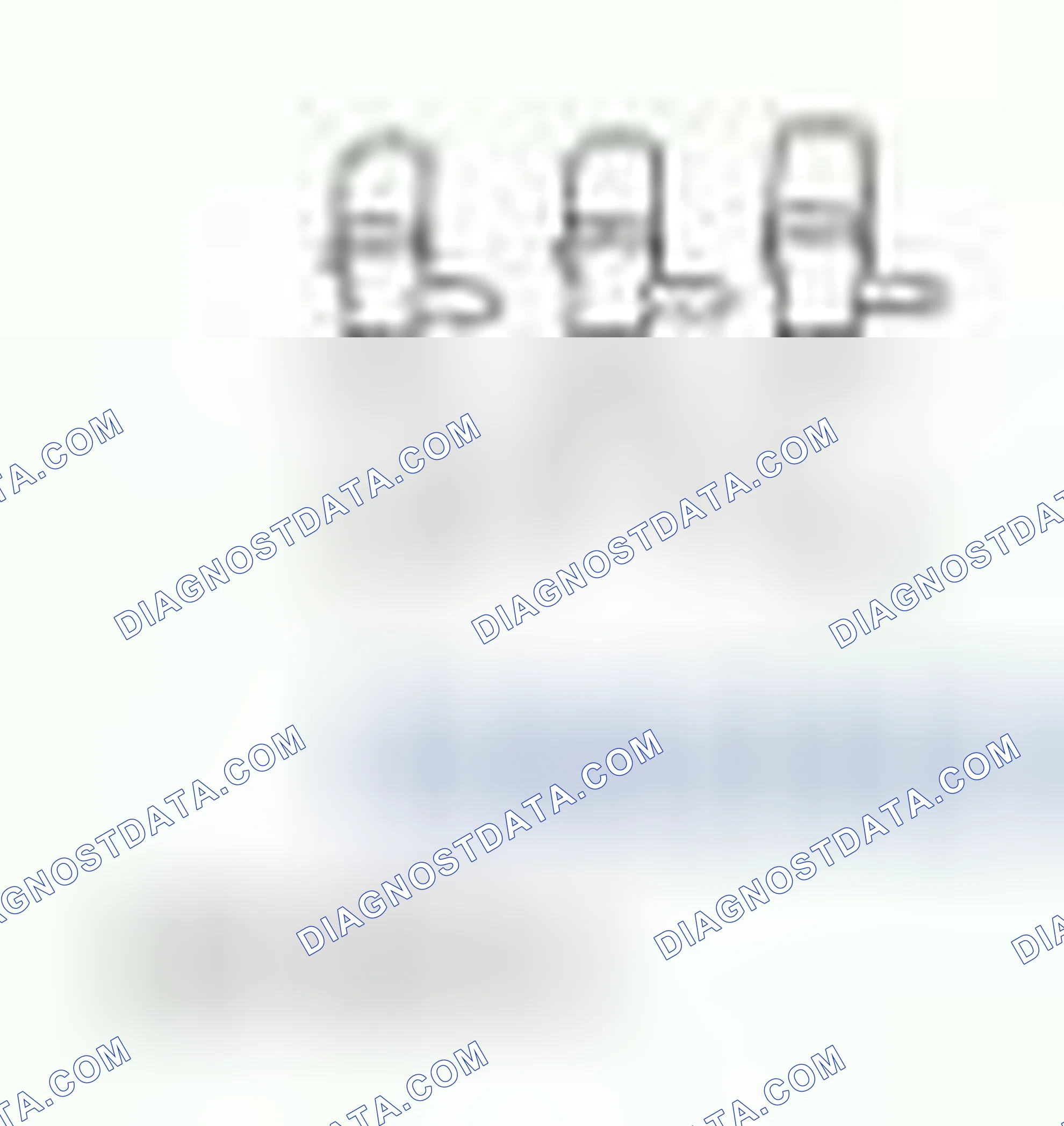 Scheme 20: Cooling System Flushing
