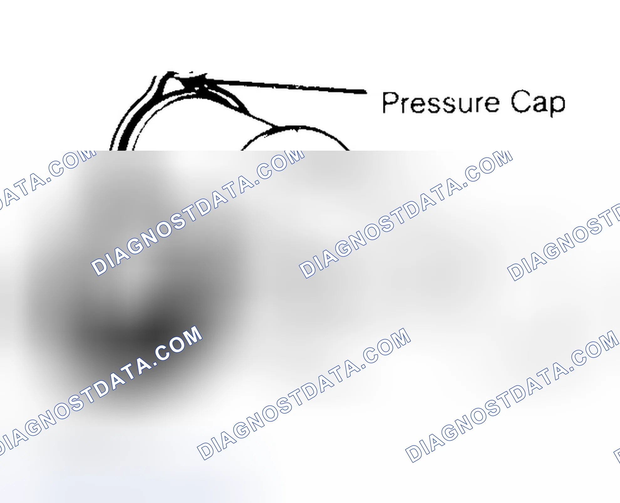 Scheme 2: Pressure Testing Radiator Cap