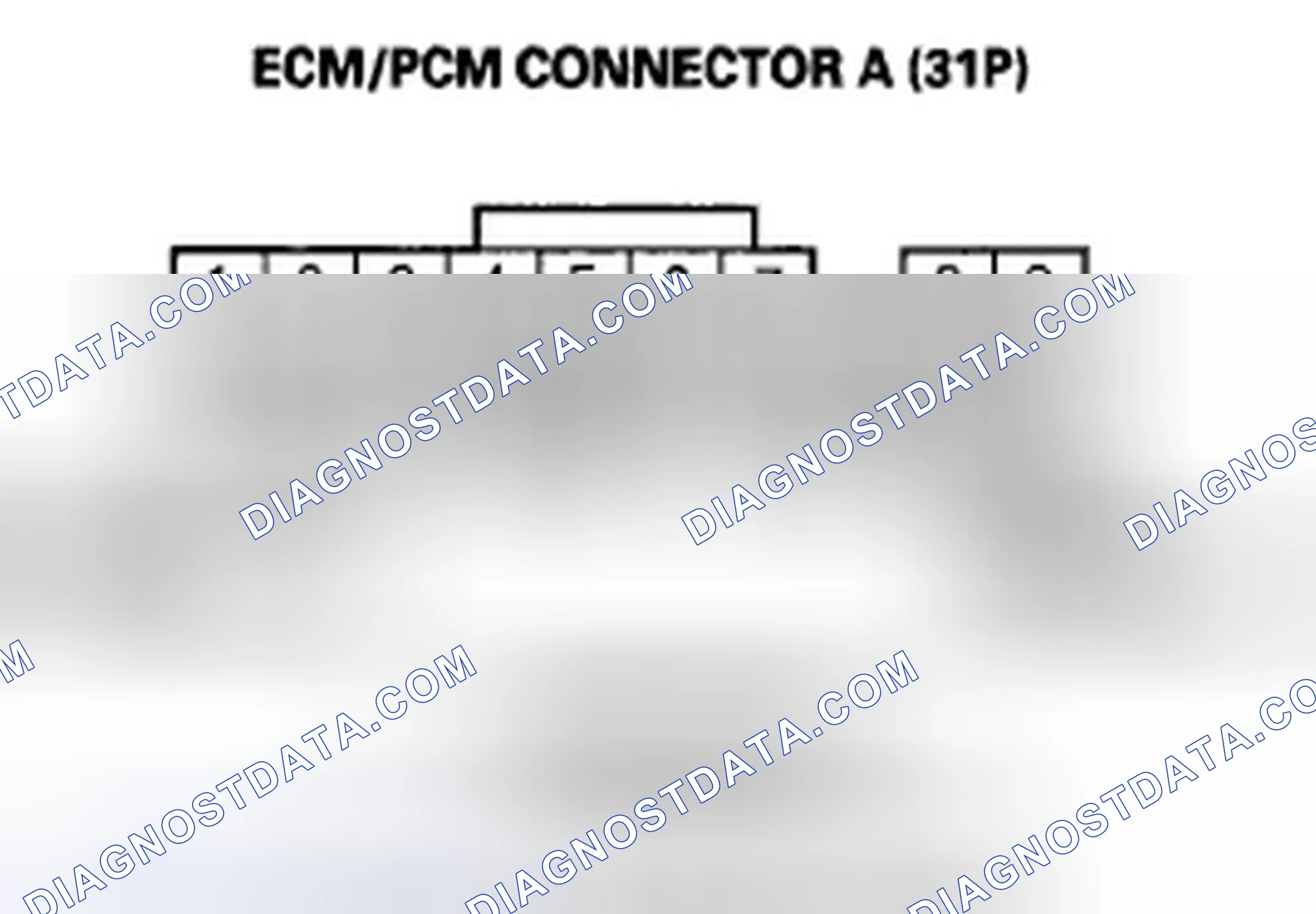 Scheme 373