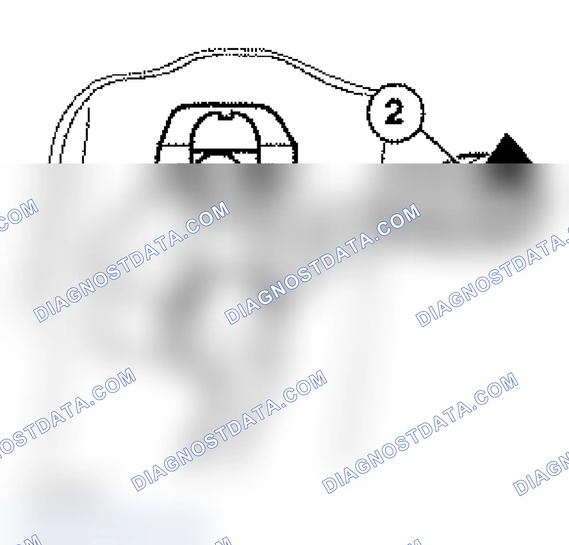 Scheme 338