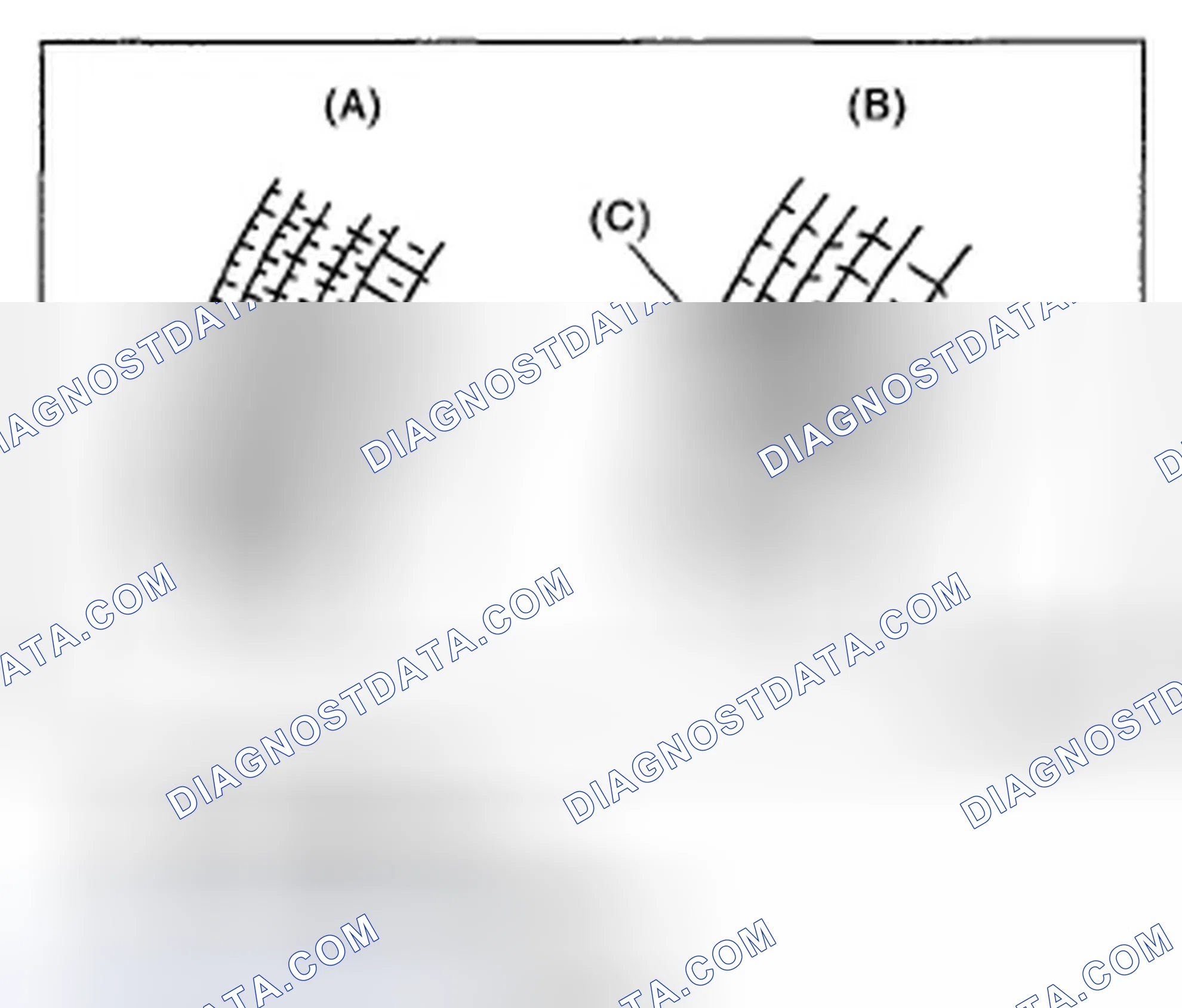 Scheme 93: INSPECTION