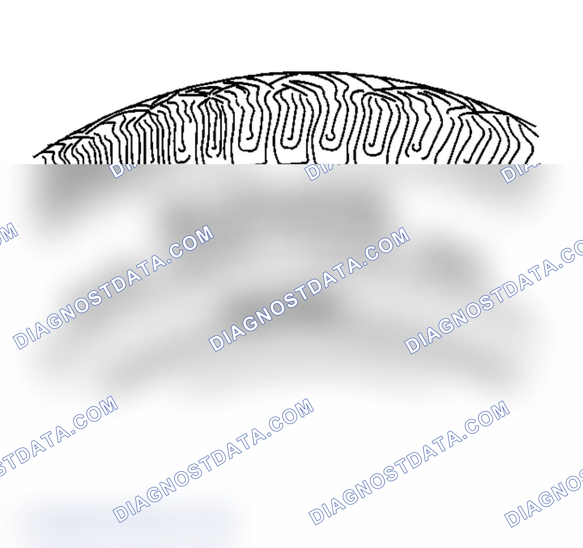 Scheme 3: Tire and Wheel Inspection