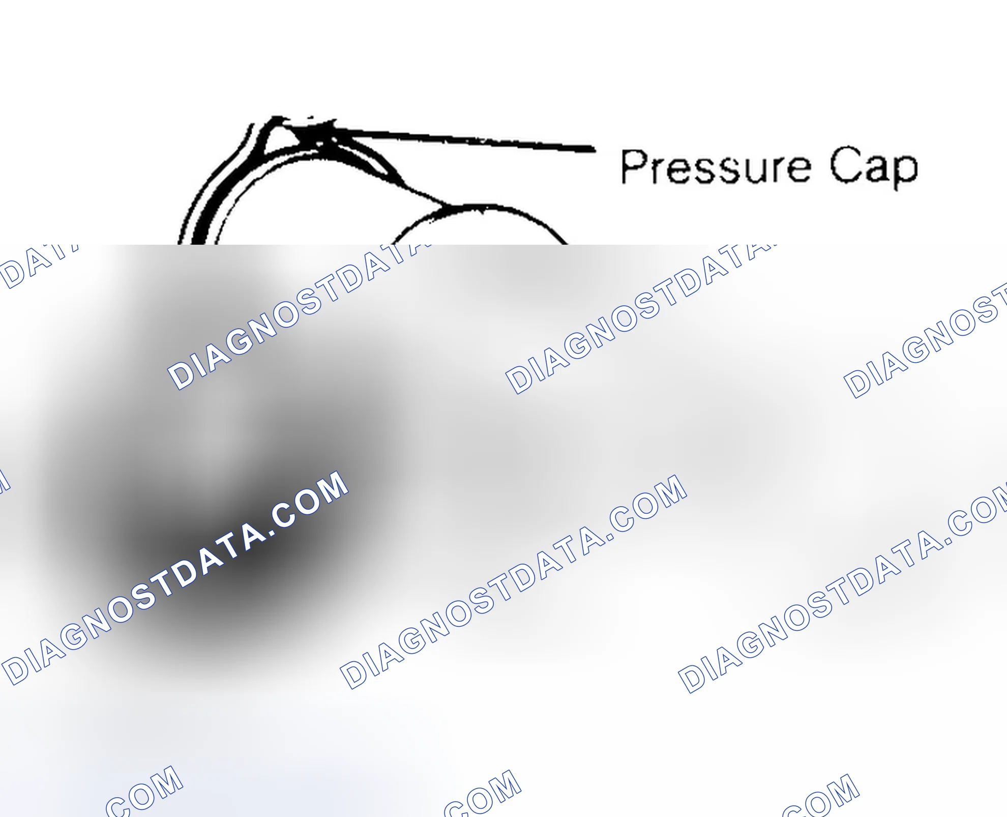 Scheme 2: Pressure Testing Radiator Cap