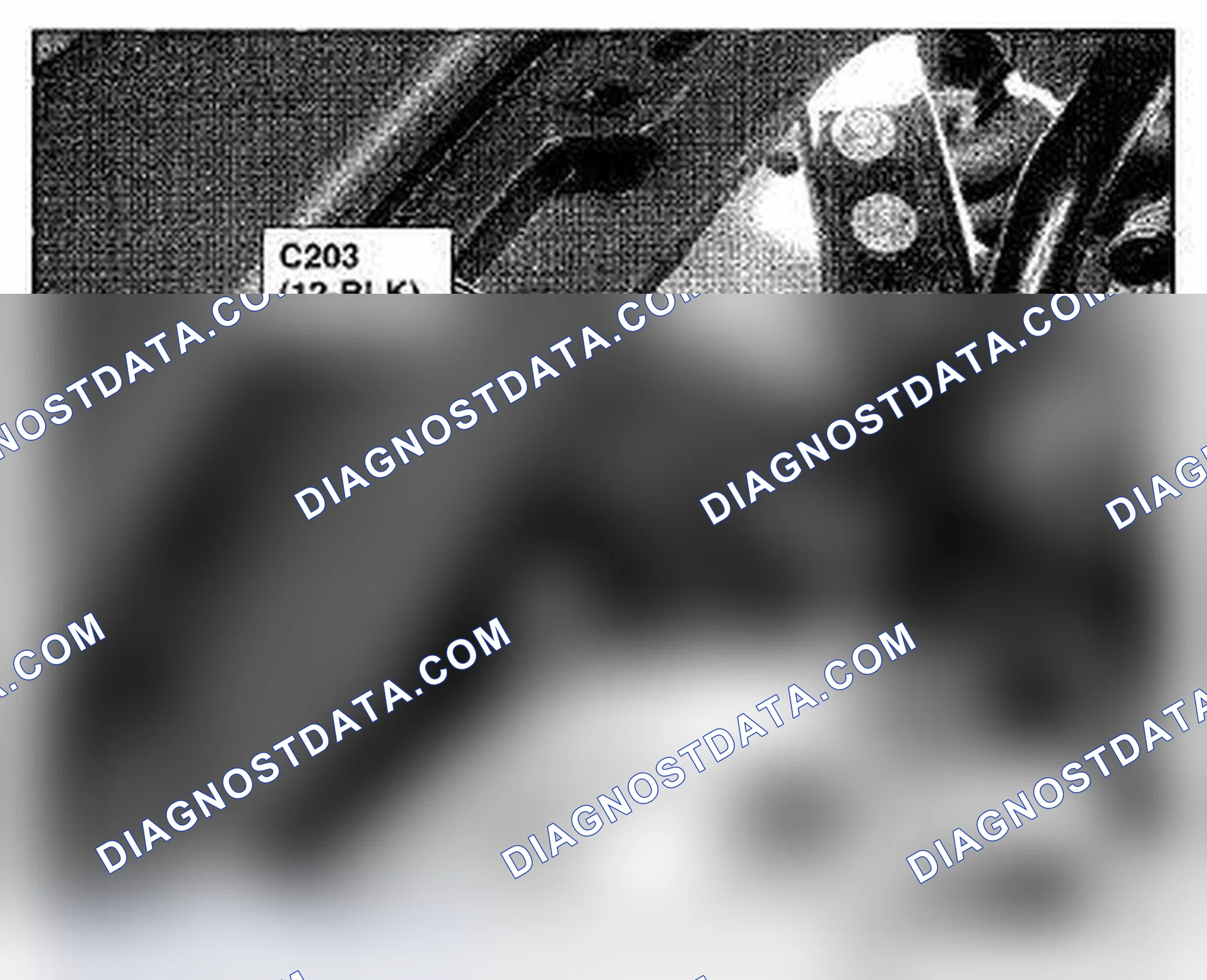 Scheme 1010: Right Rear Of Engine Compartment Component Location (Photo 1)