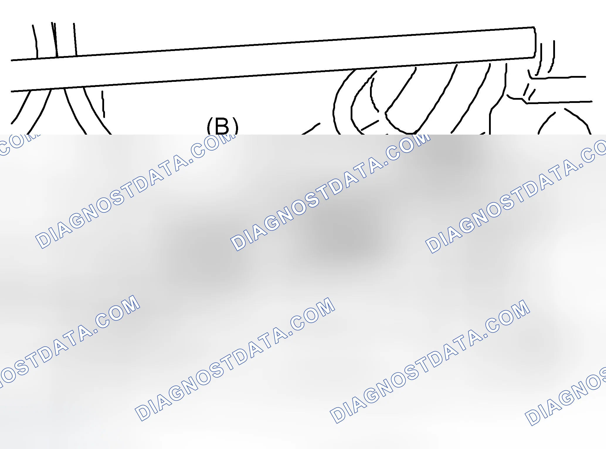 Scheme 146