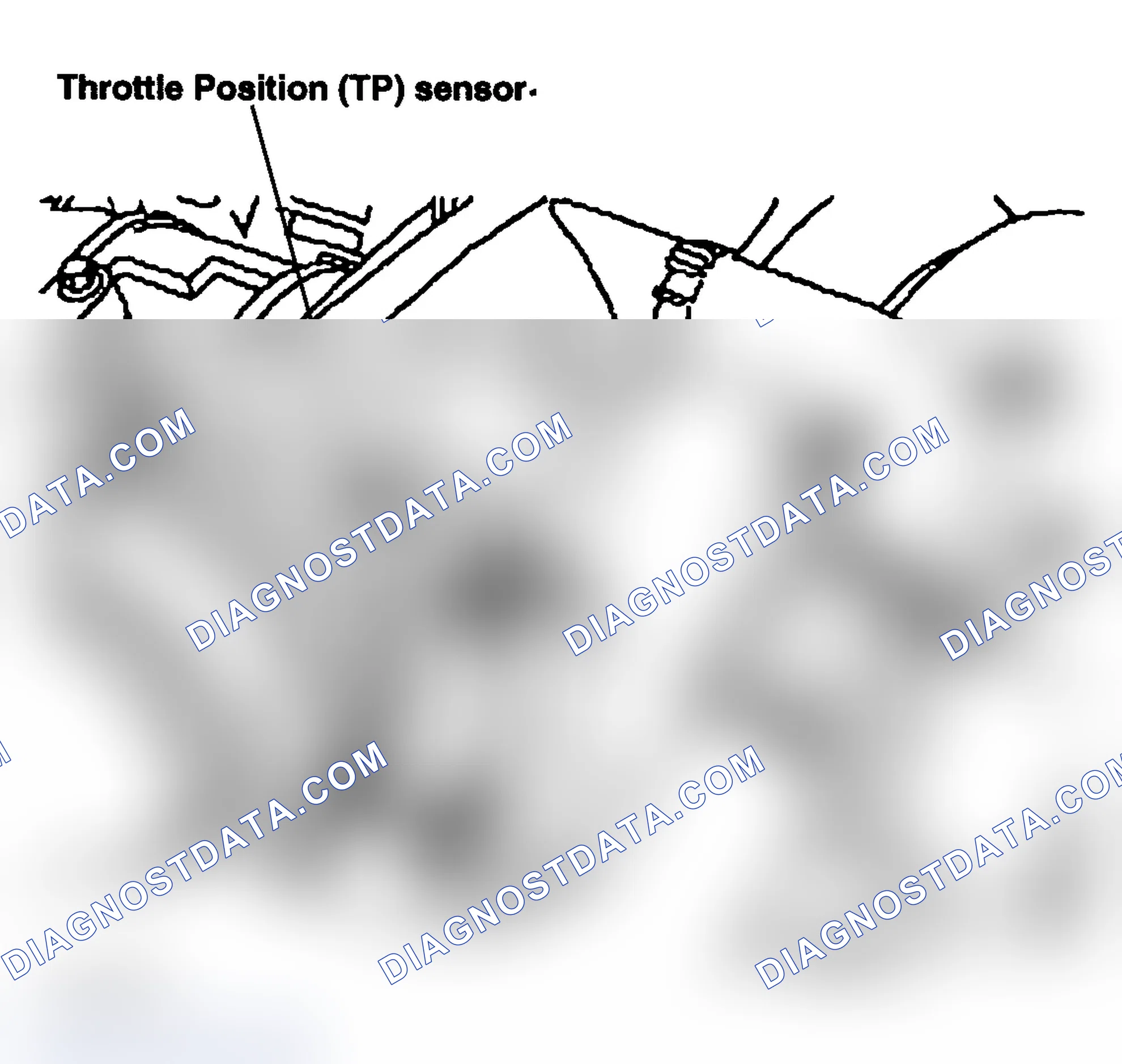 Scheme 46: Throttle Position (TP) Sensor