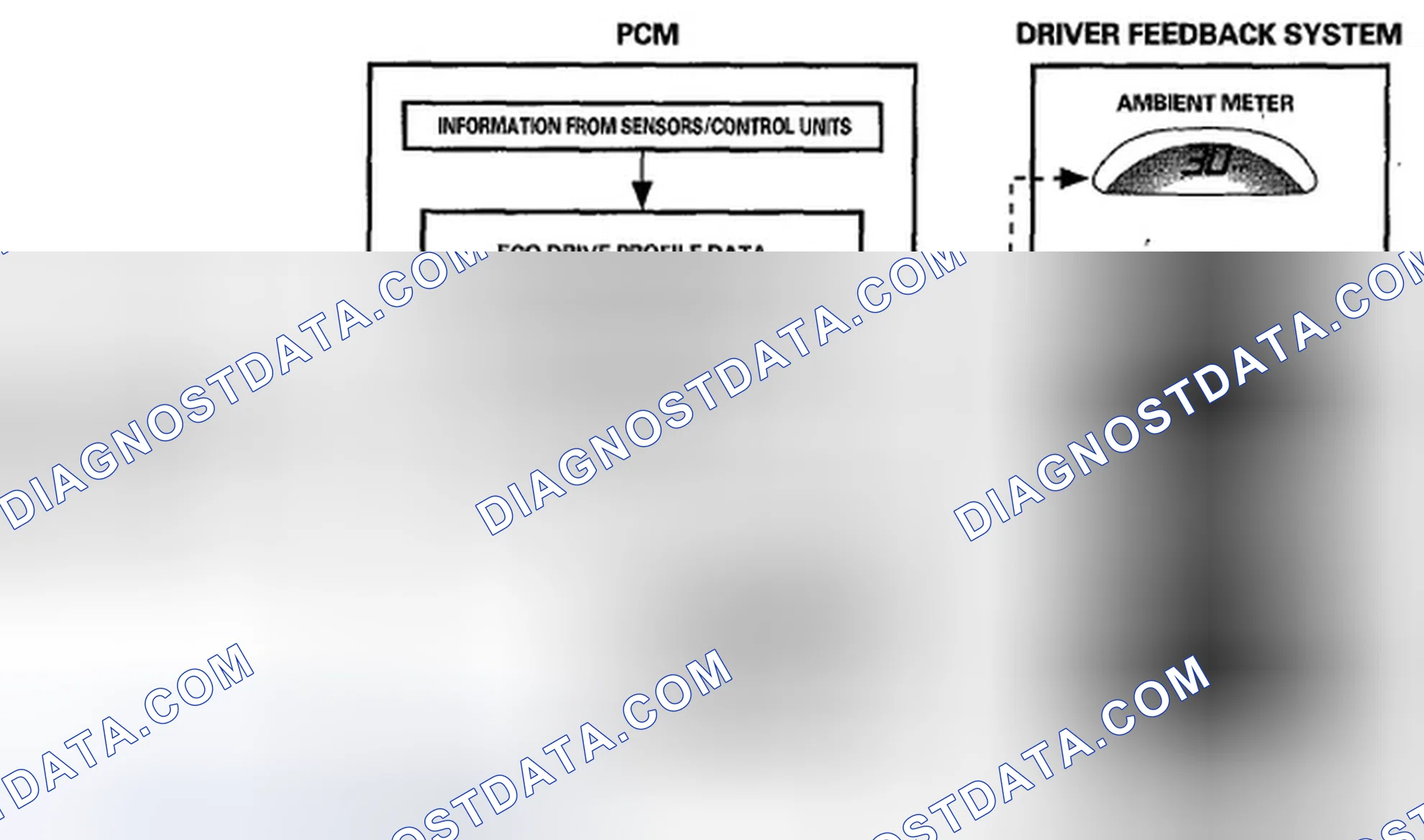 Scheme 149: Eco Guide