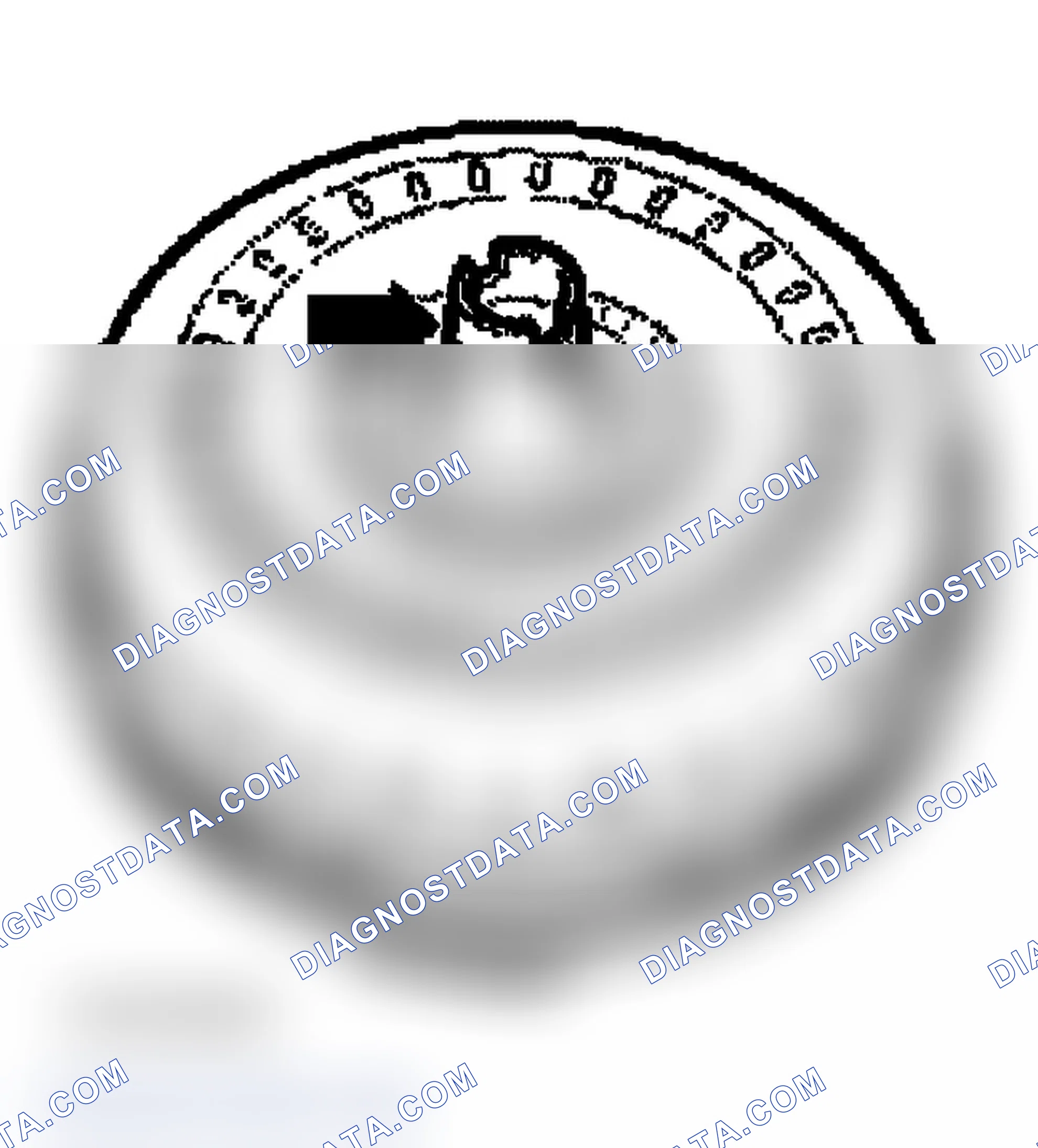Scheme 299: TORQUE CONVERTER, CHECKING