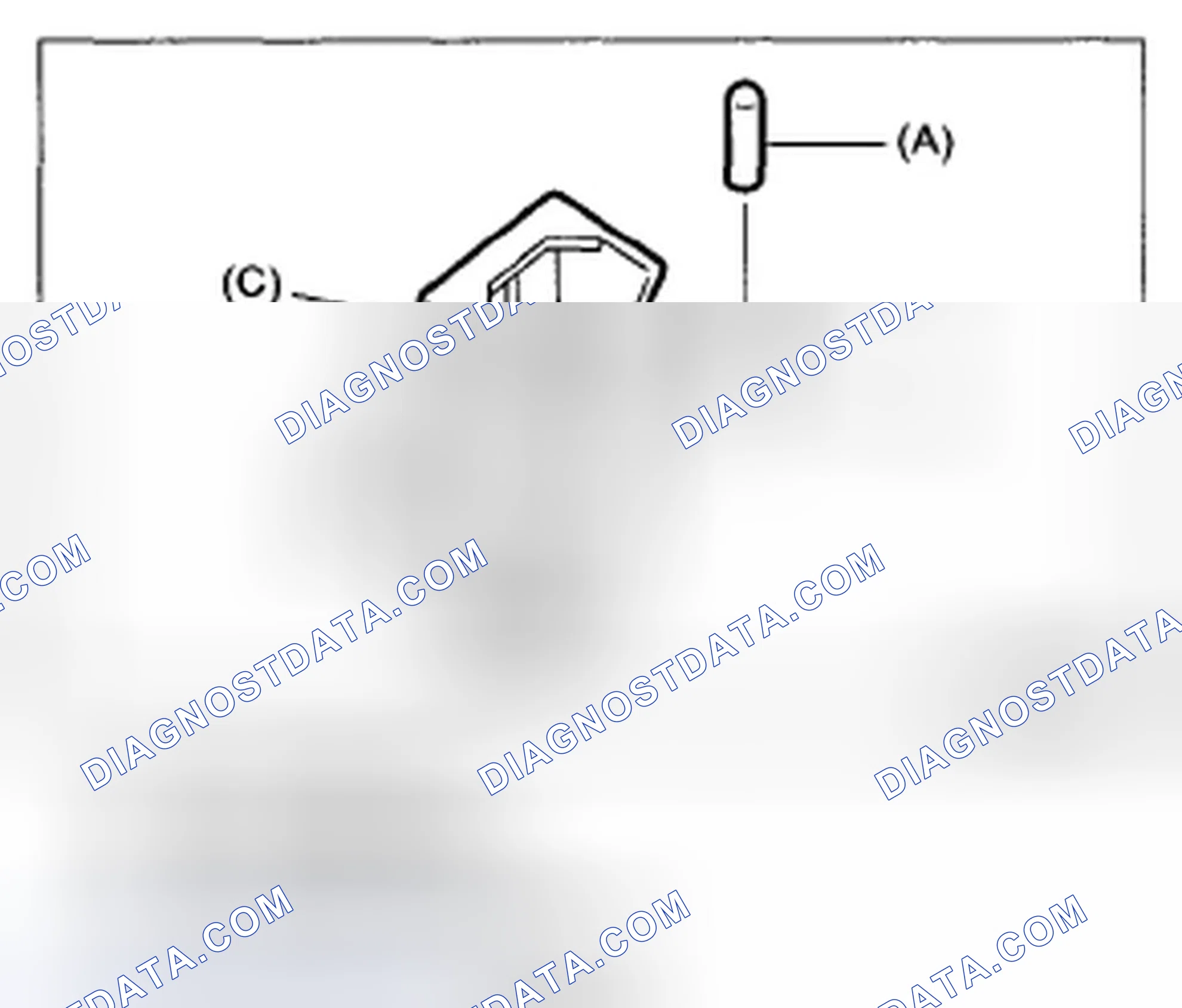 Scheme 13