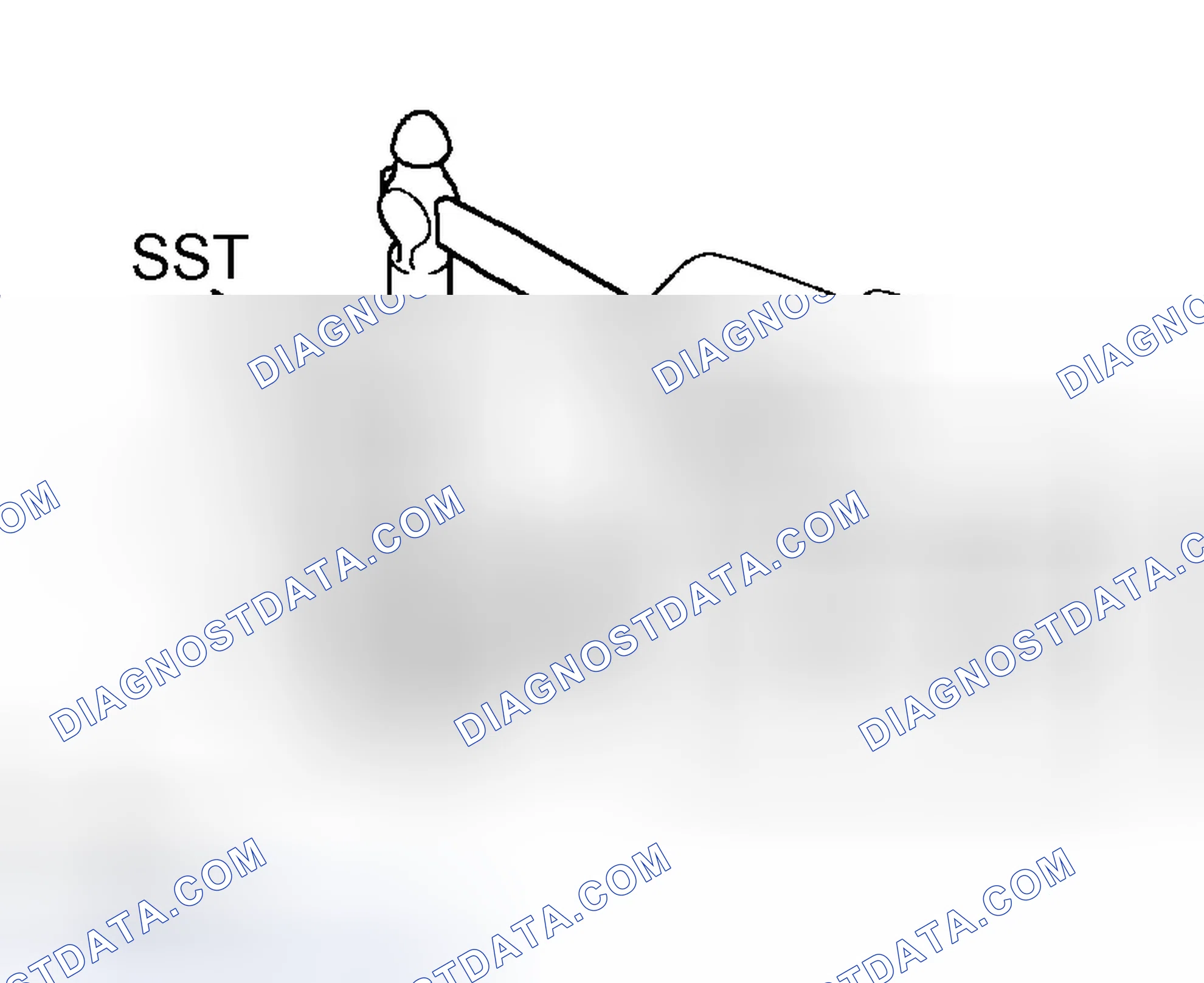 Scheme 107