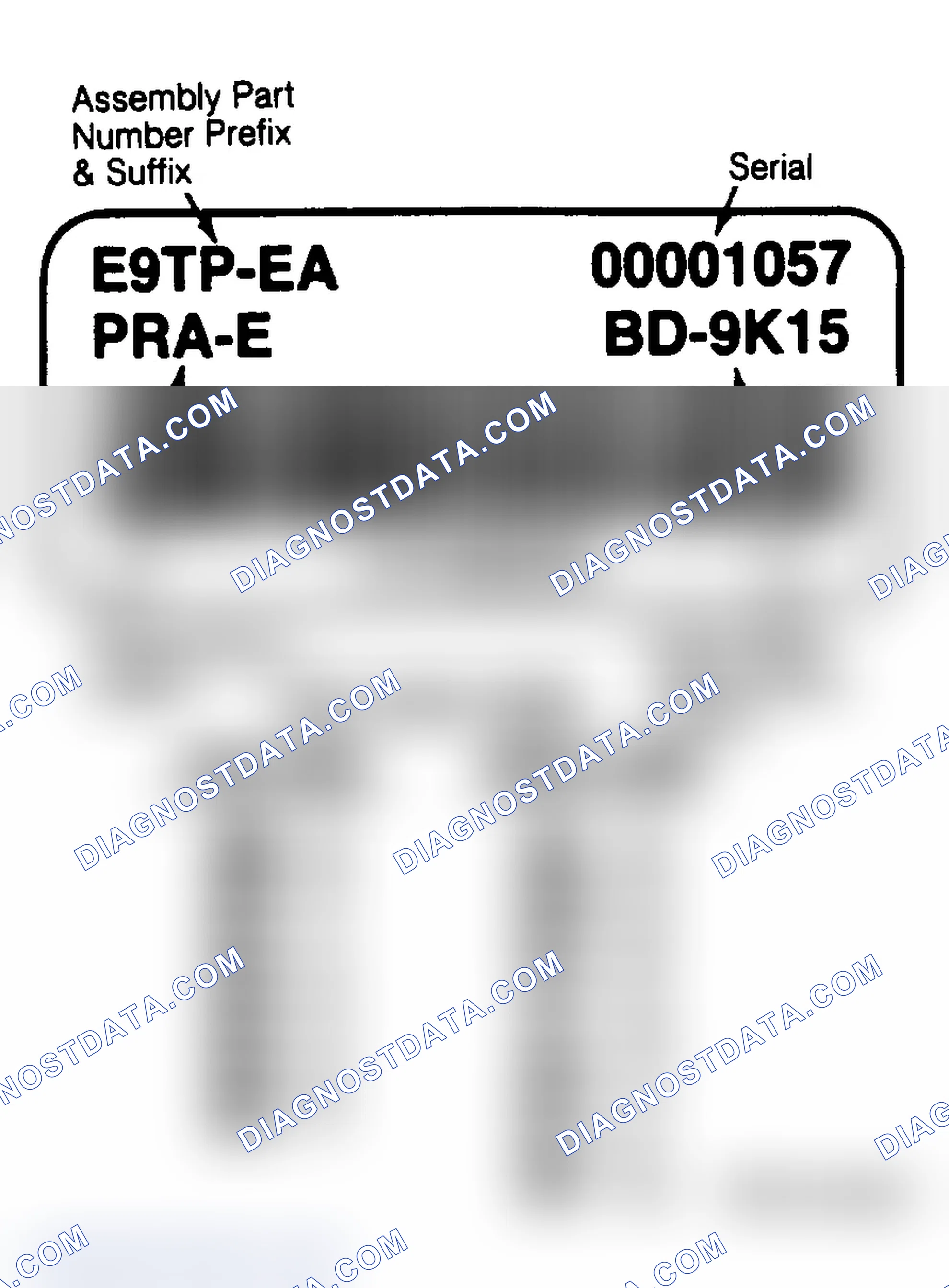 Scheme 81: IDENTIFICATION