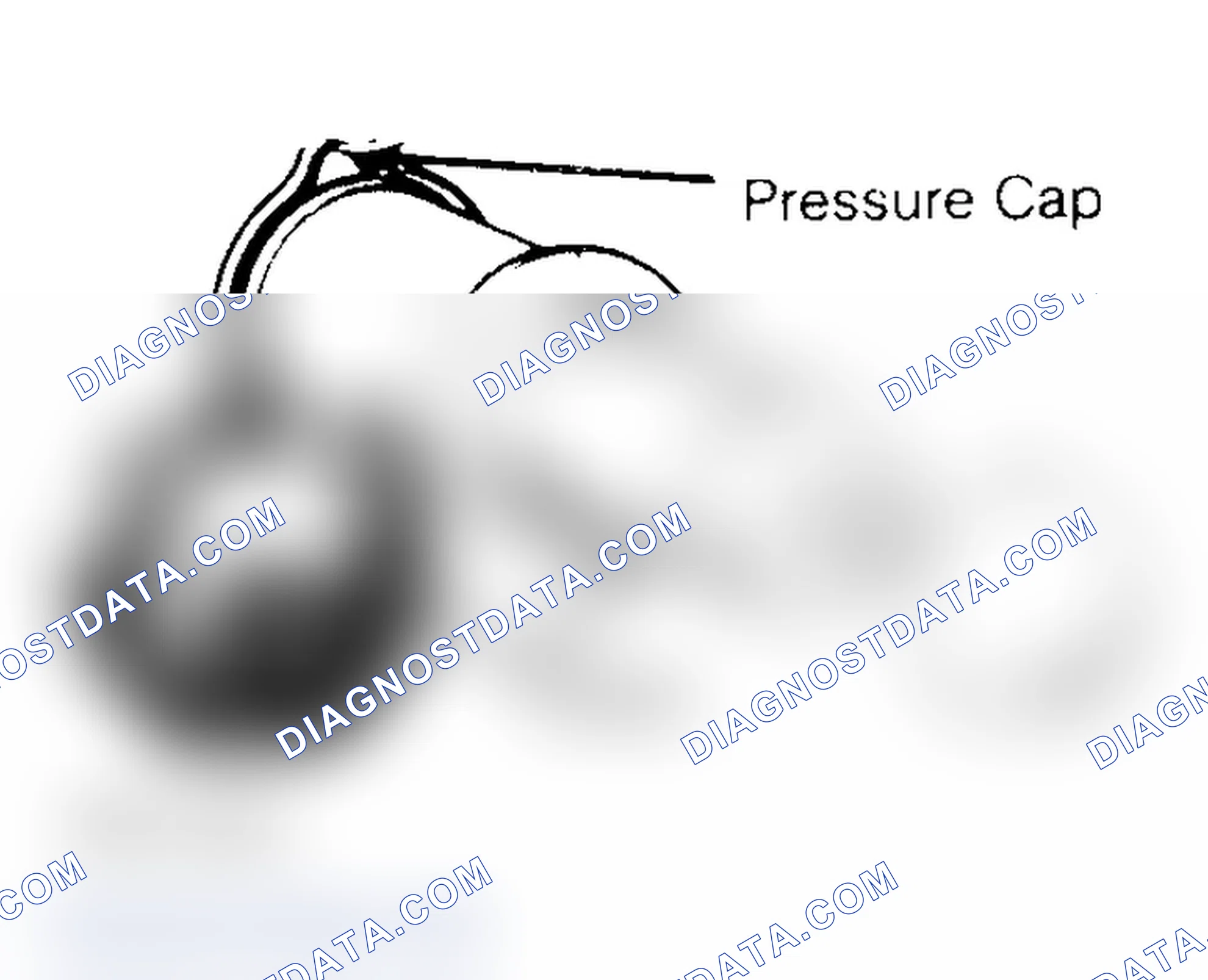 Scheme 2: Pressure Testing Radiator Cap