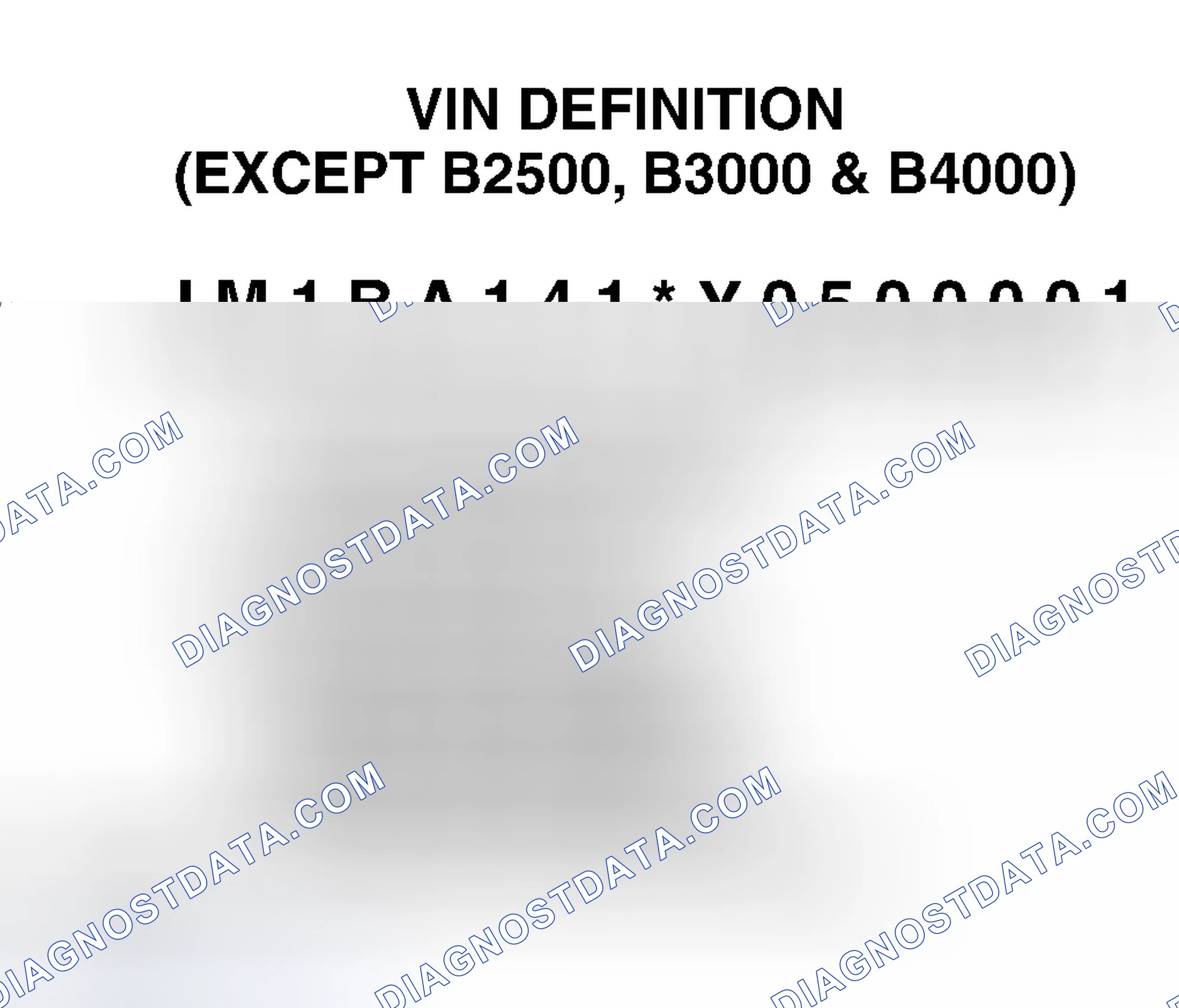 Scheme 1: VIN Definition (Except B2500, B3000 & B4000)