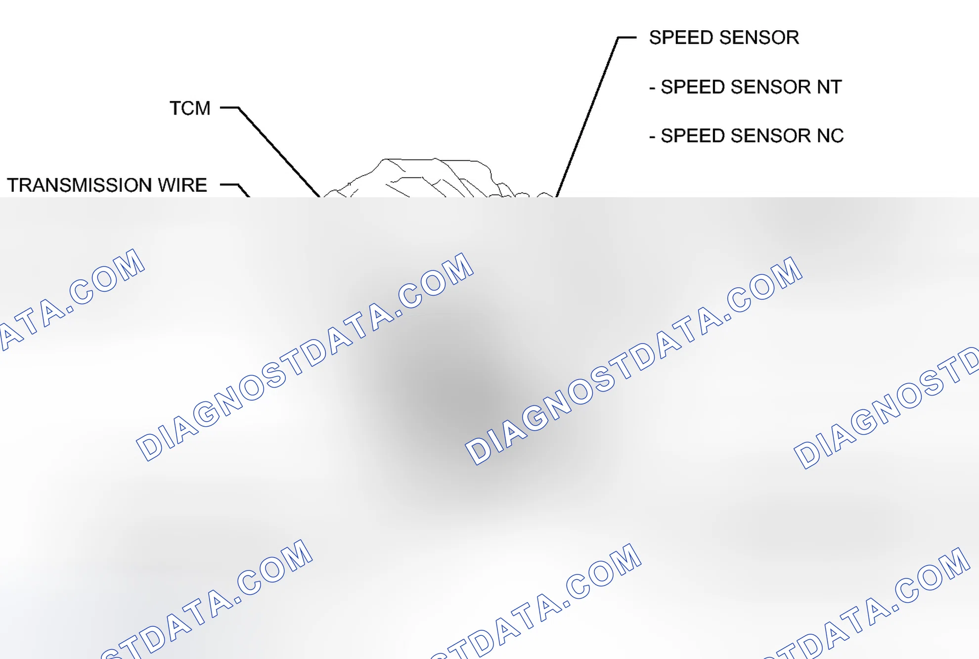 Scheme 388: ILLUSTRATION
