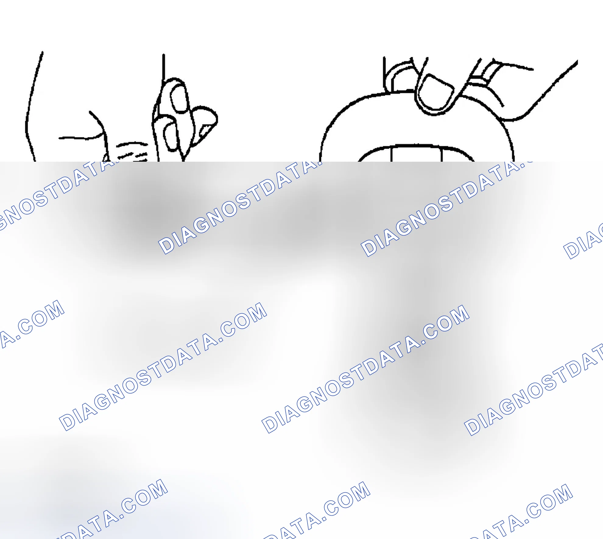 Scheme 214: Camshaft Cam Height