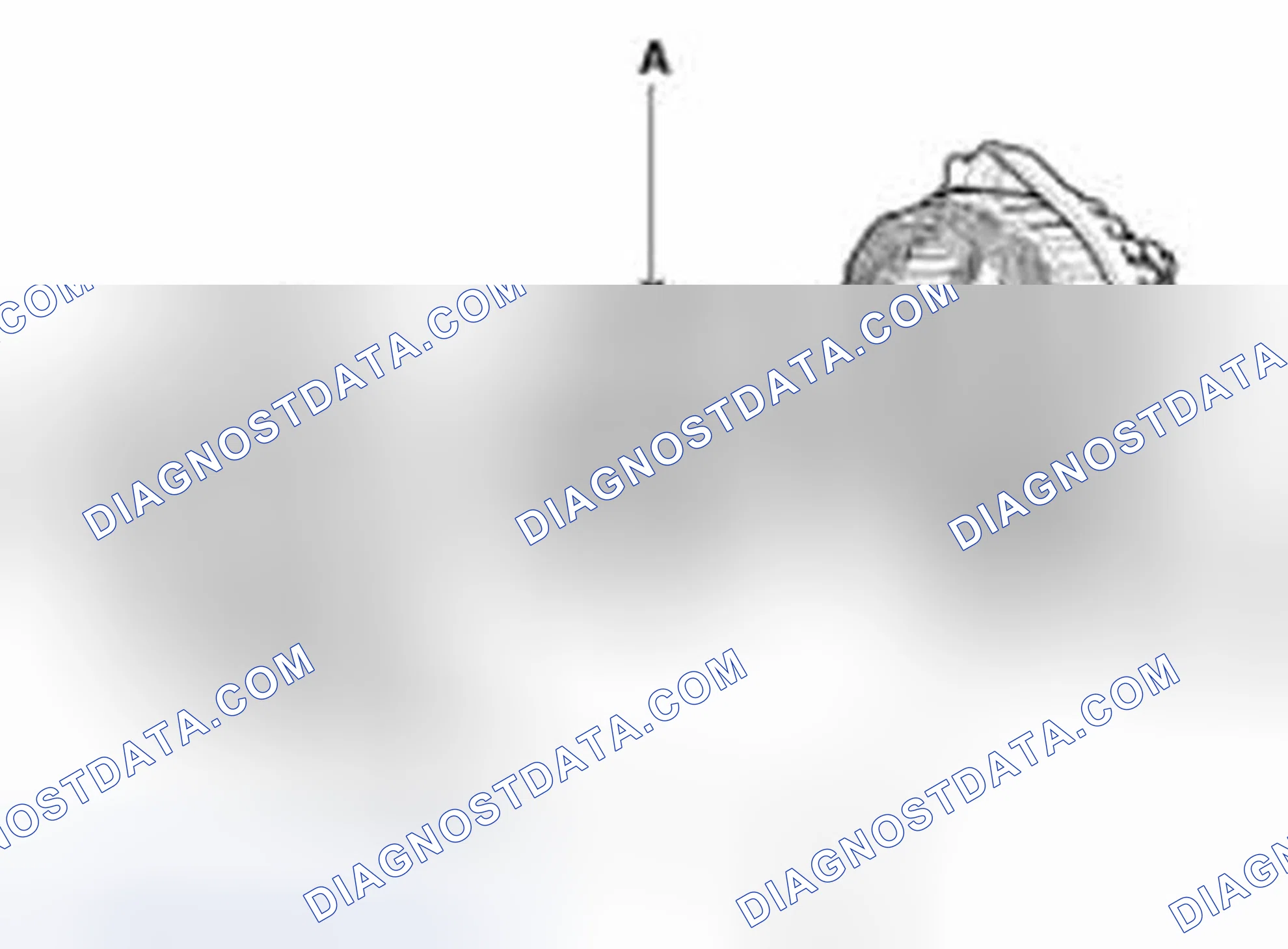 Scheme 119