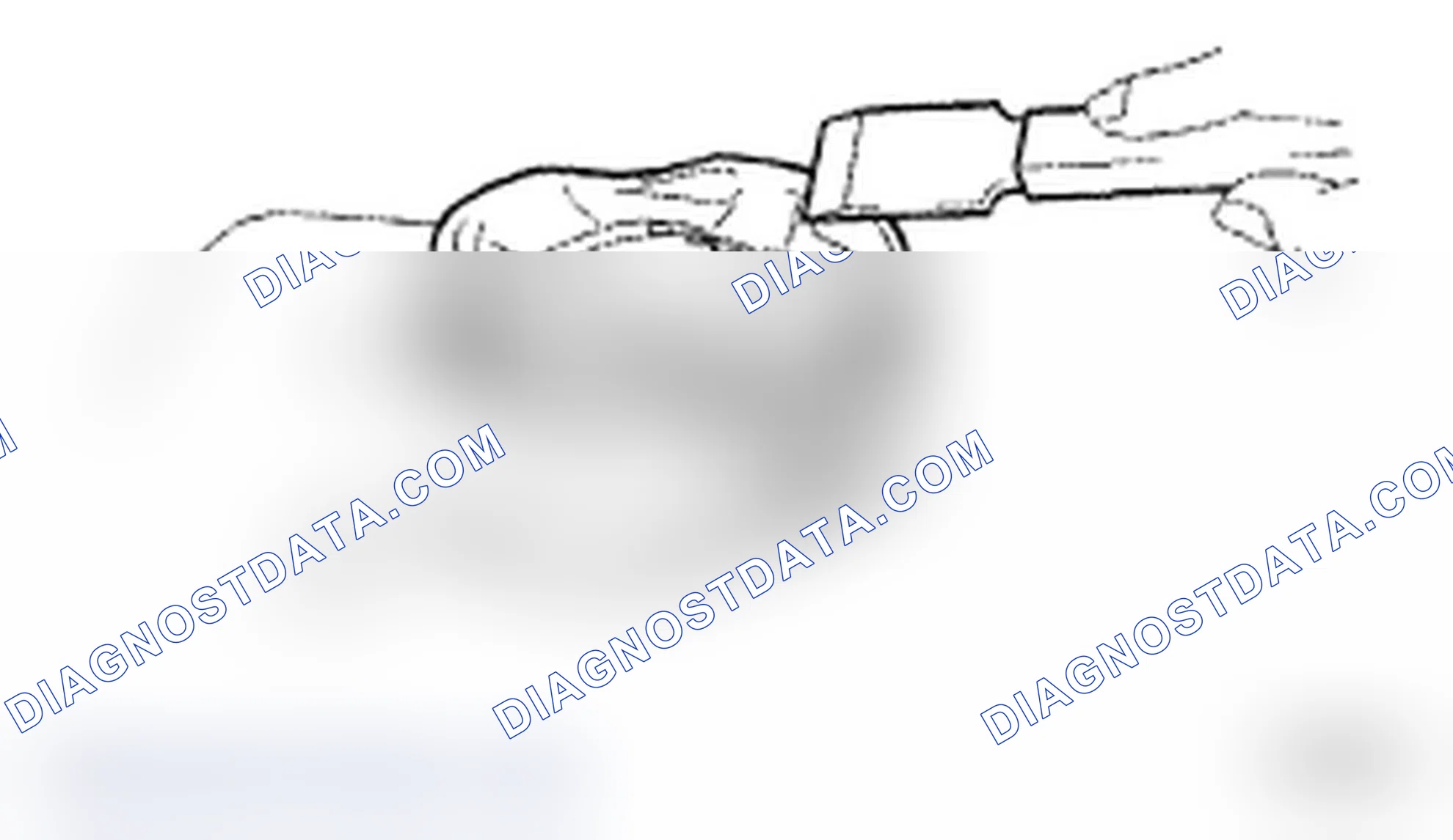 Scheme 345