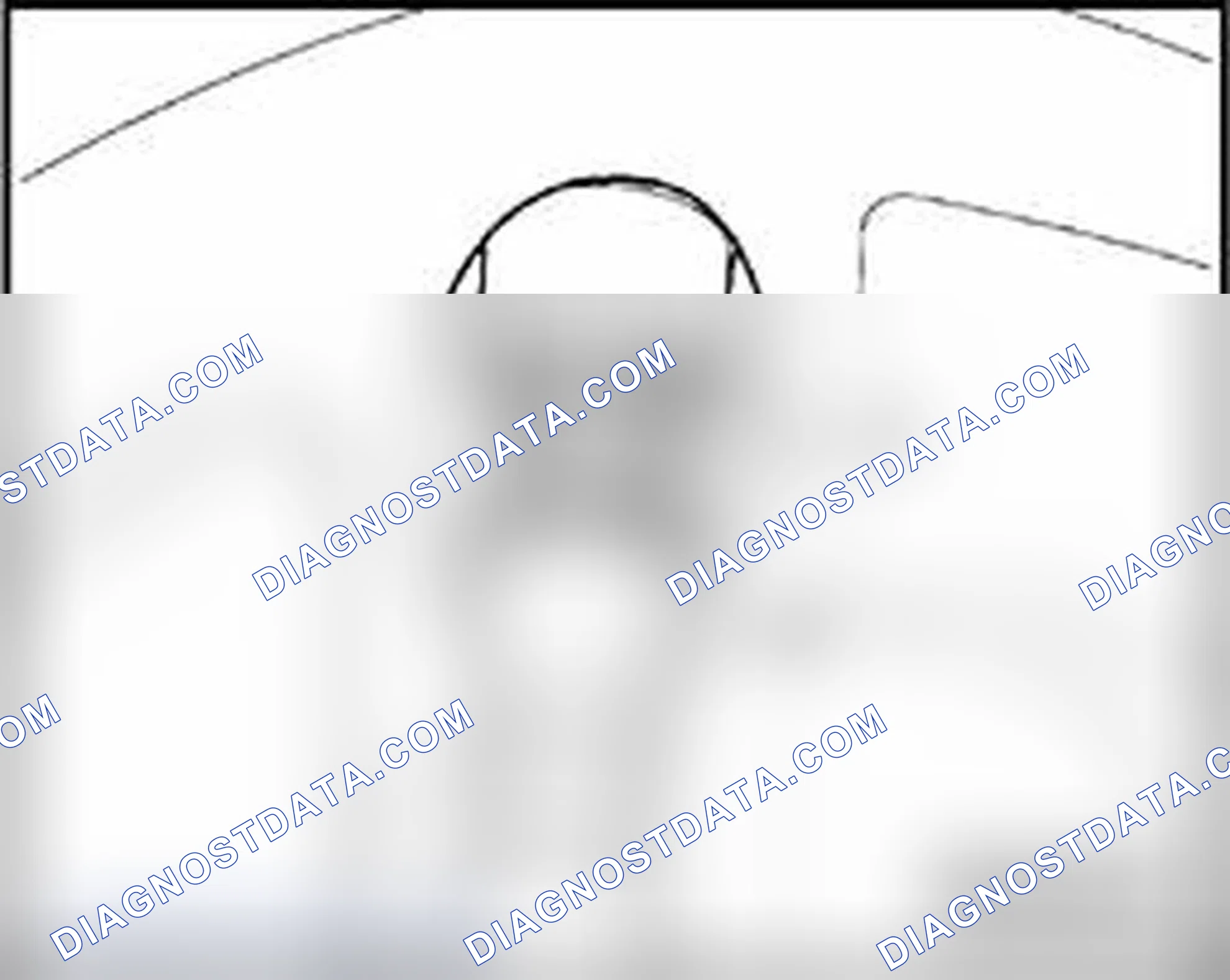 Scheme 188: Rear strut