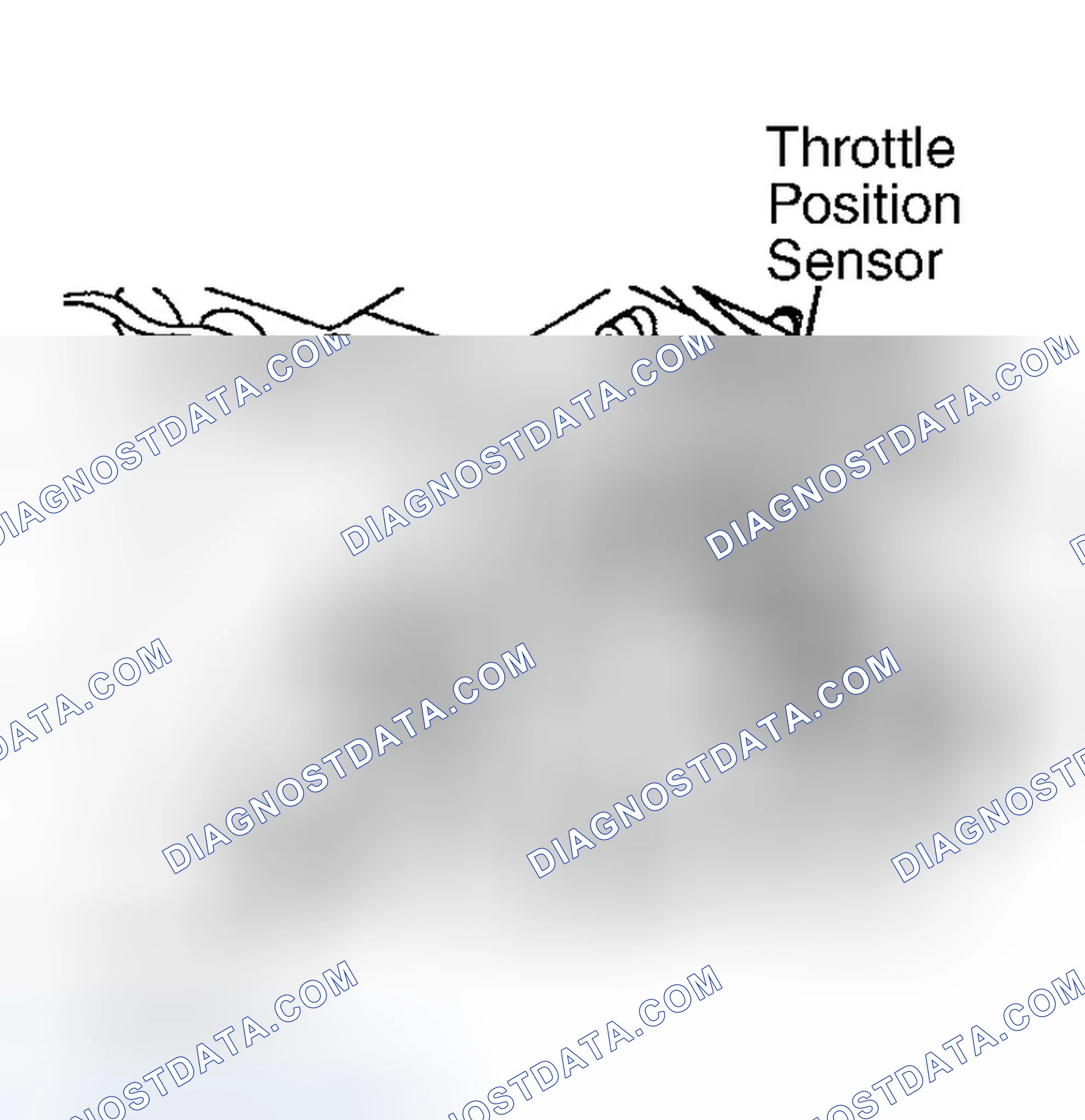 Scheme 5