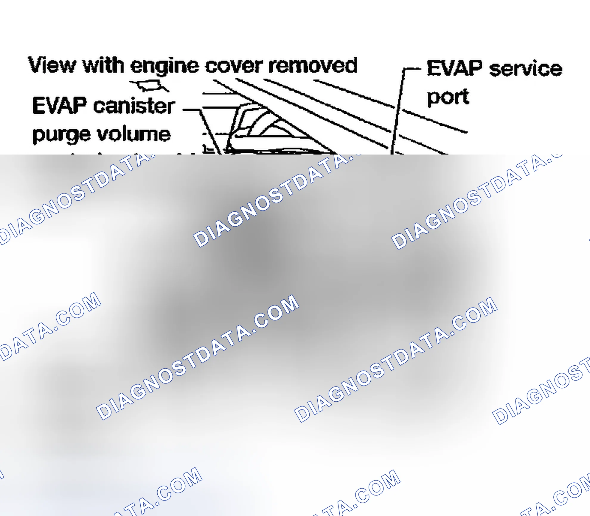 Scheme 524: Diagnostic Procedure