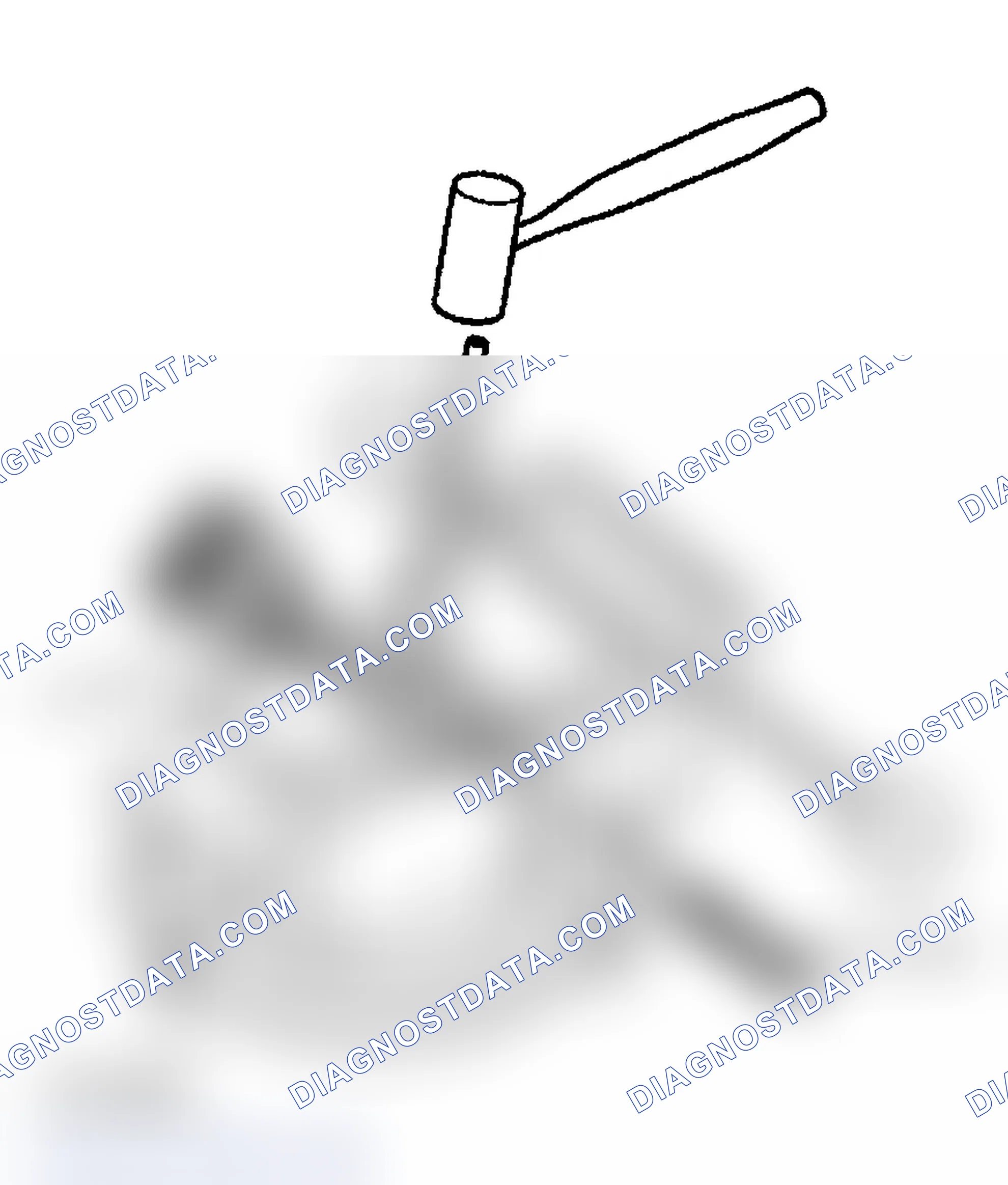 Scheme 78: Assembly Procedure