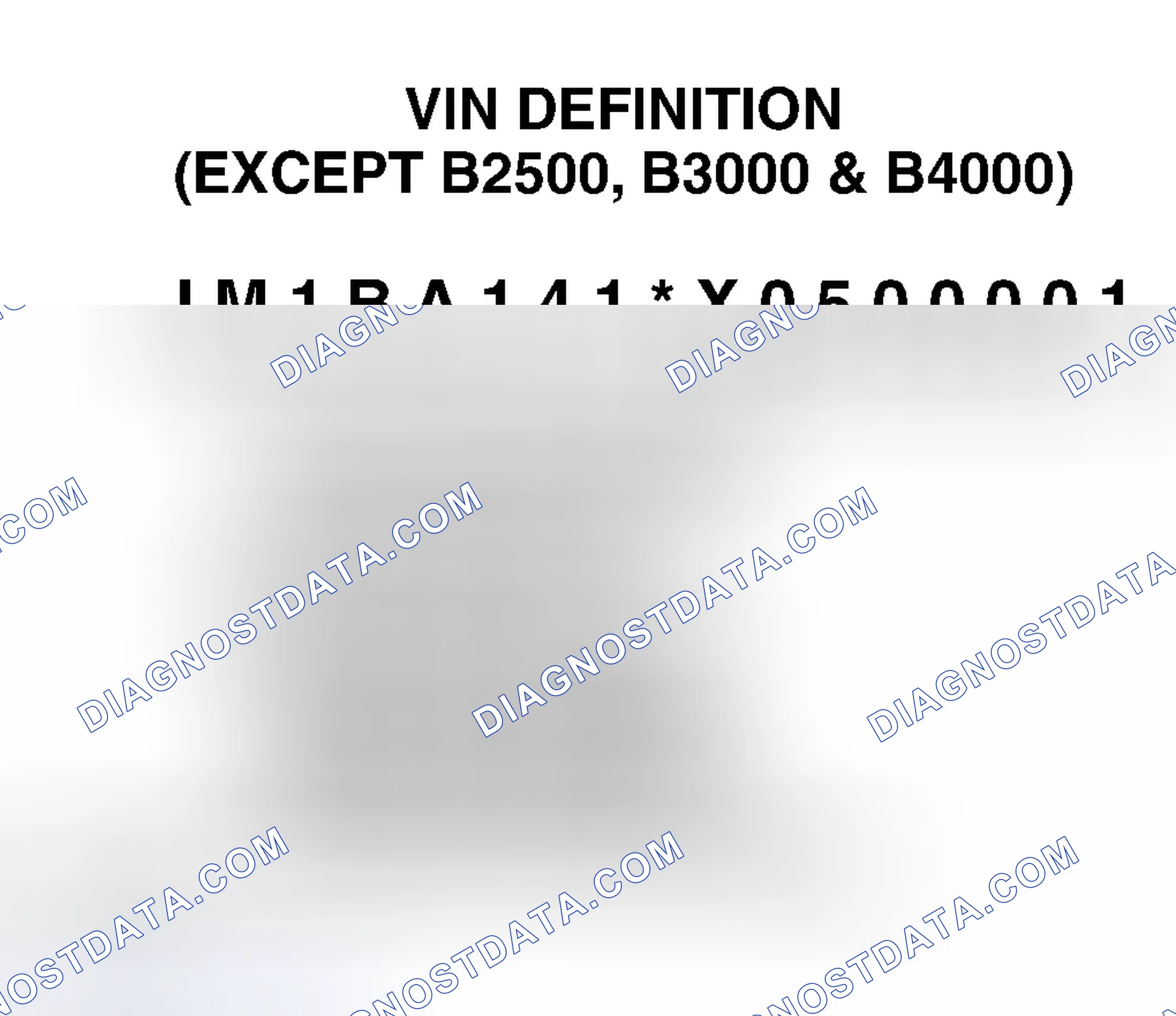 Scheme 1: VIN Definition (Except B2500, B3000 & B4000)