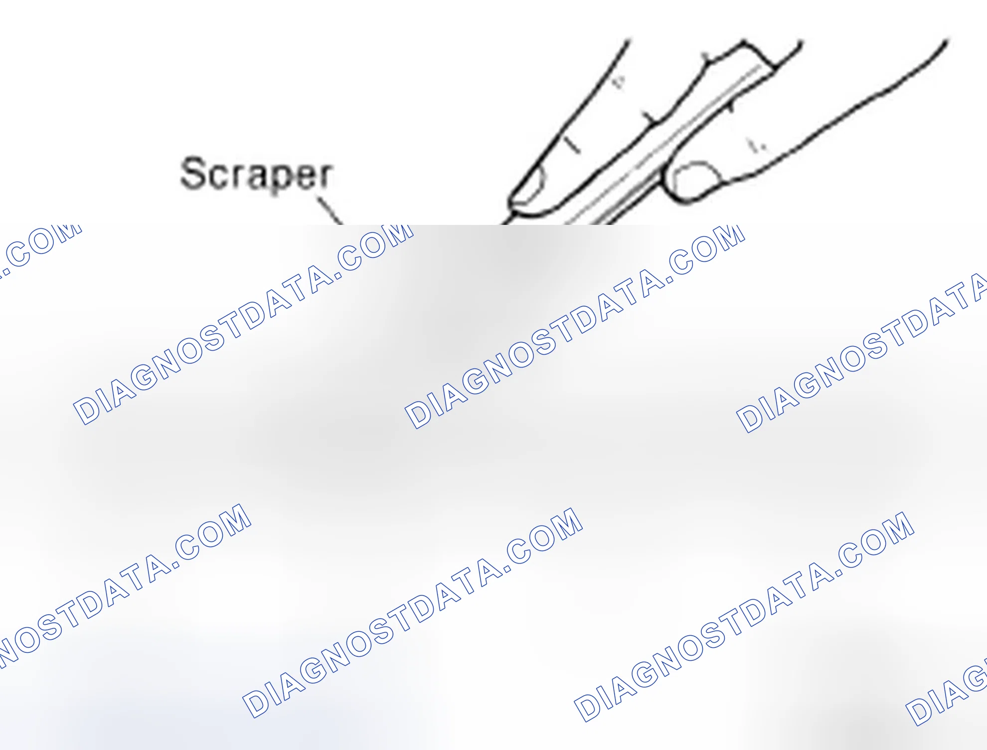 Scheme 242: LIQUID GASKET APPLICATION PROCEDURE